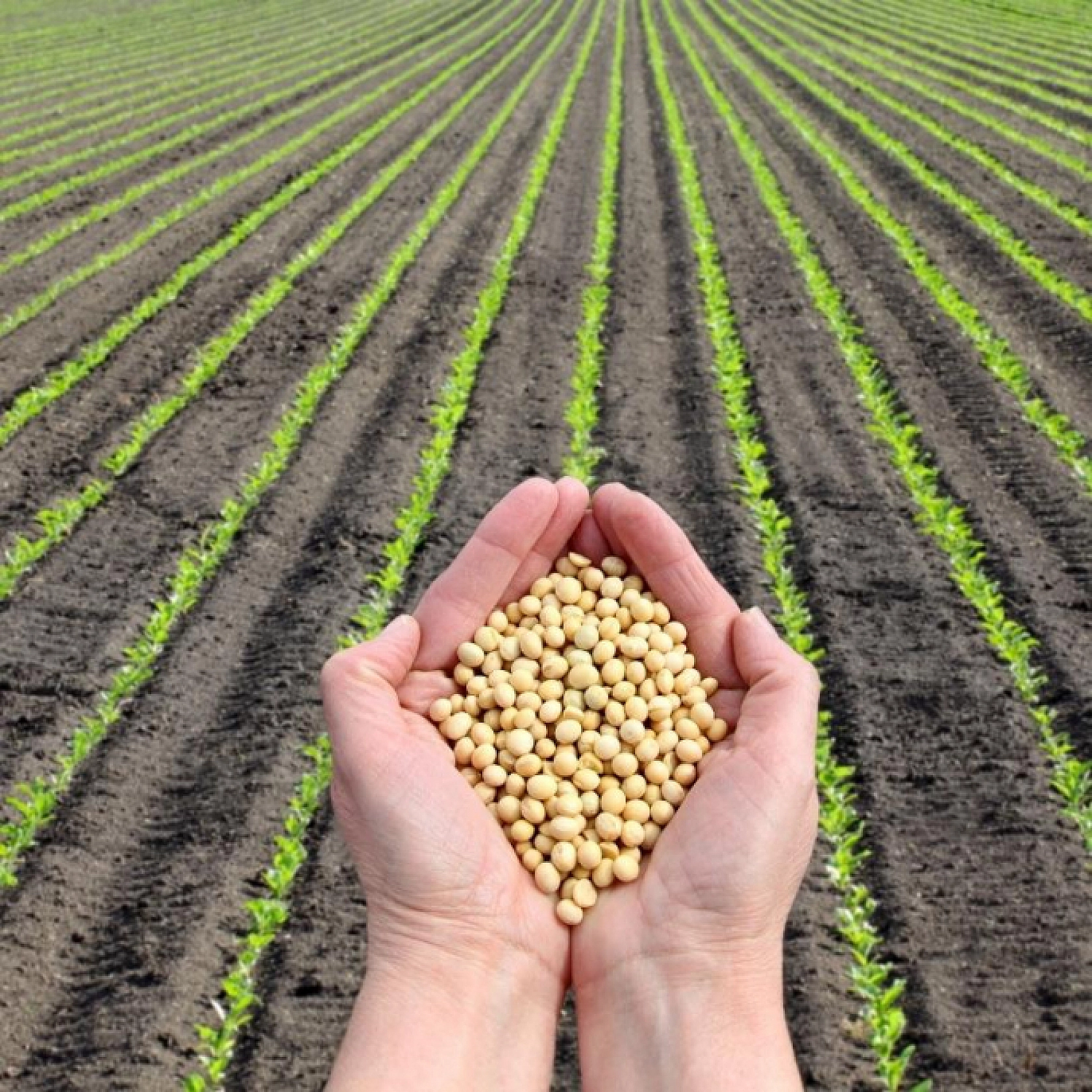 TKDK'dan IPARD III Dönemi İçin İkinci Başvuru Çağrısı: Malatya'da Başvurular Kabul Edilecek...