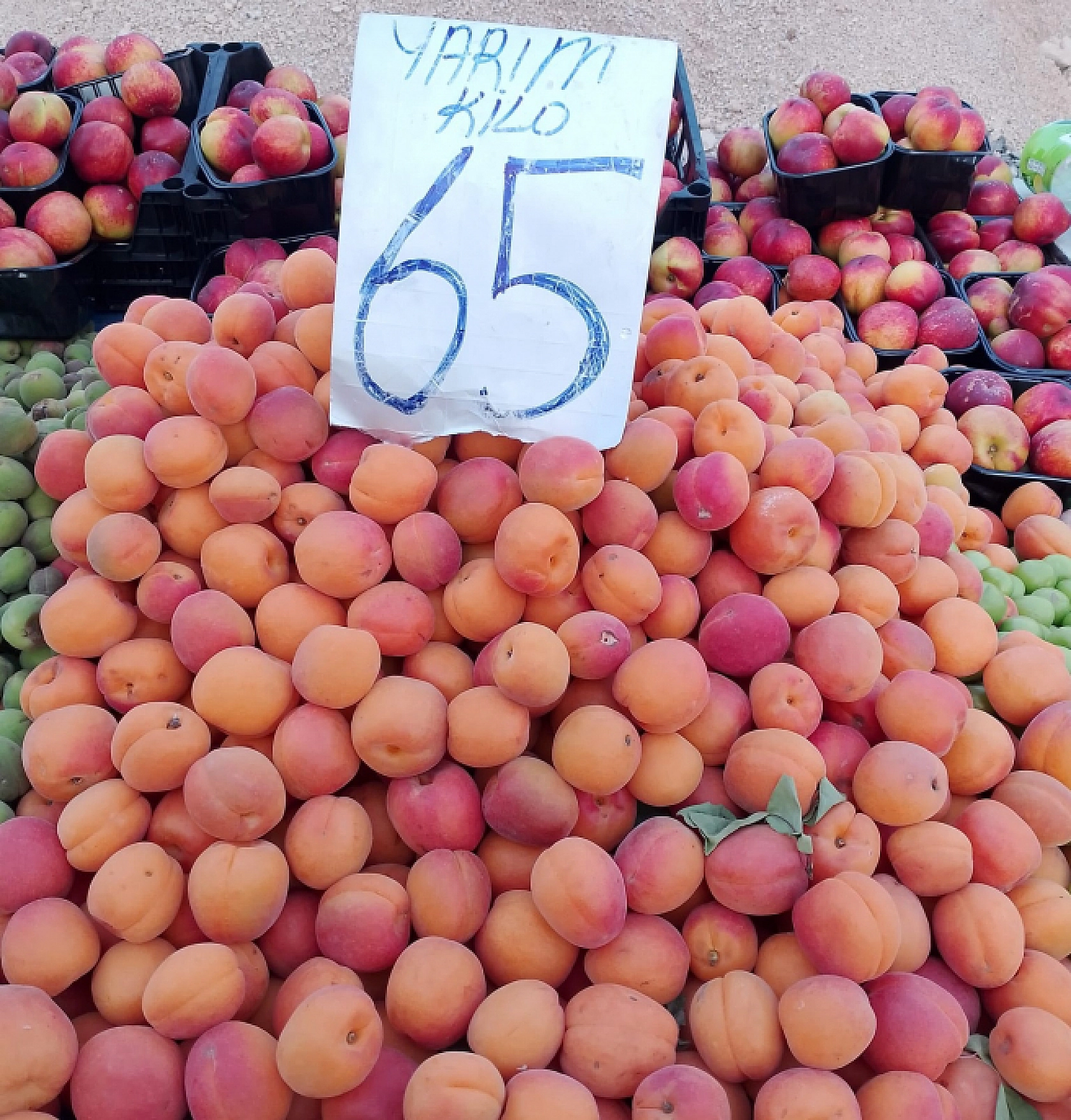 Malatya'da Yeni Mahsul Kayısı Tezgahlarda Fiyatı Dudak Uçuklatıyor