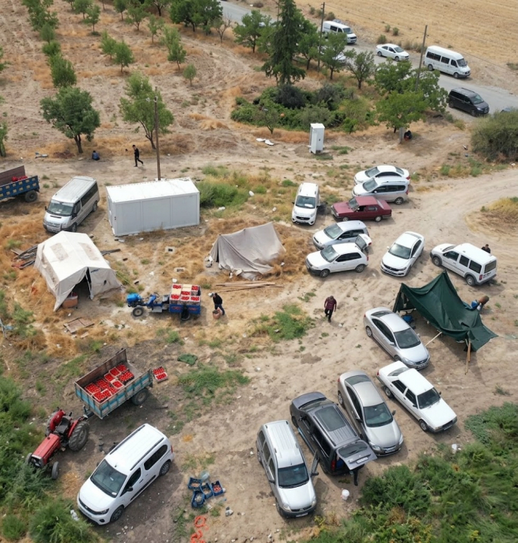 Malatya'da çiftçi ürettiğini satamadı, 200 tonu vatandaşa bedava dağıttı