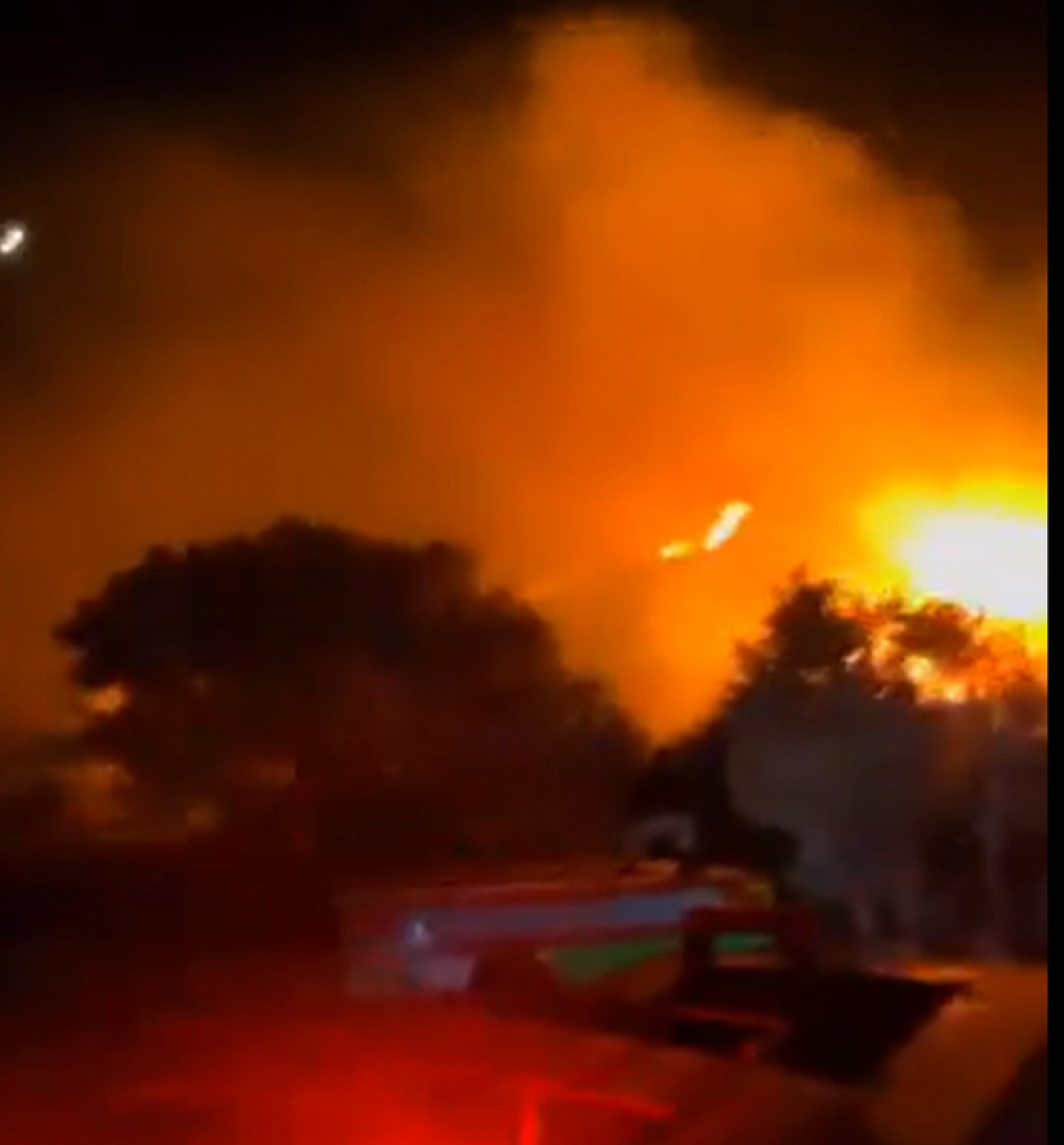 Kurum, yangının bilançosunu açıkladı: İzmir ve Bilecik en çok zarar gören iller oldu