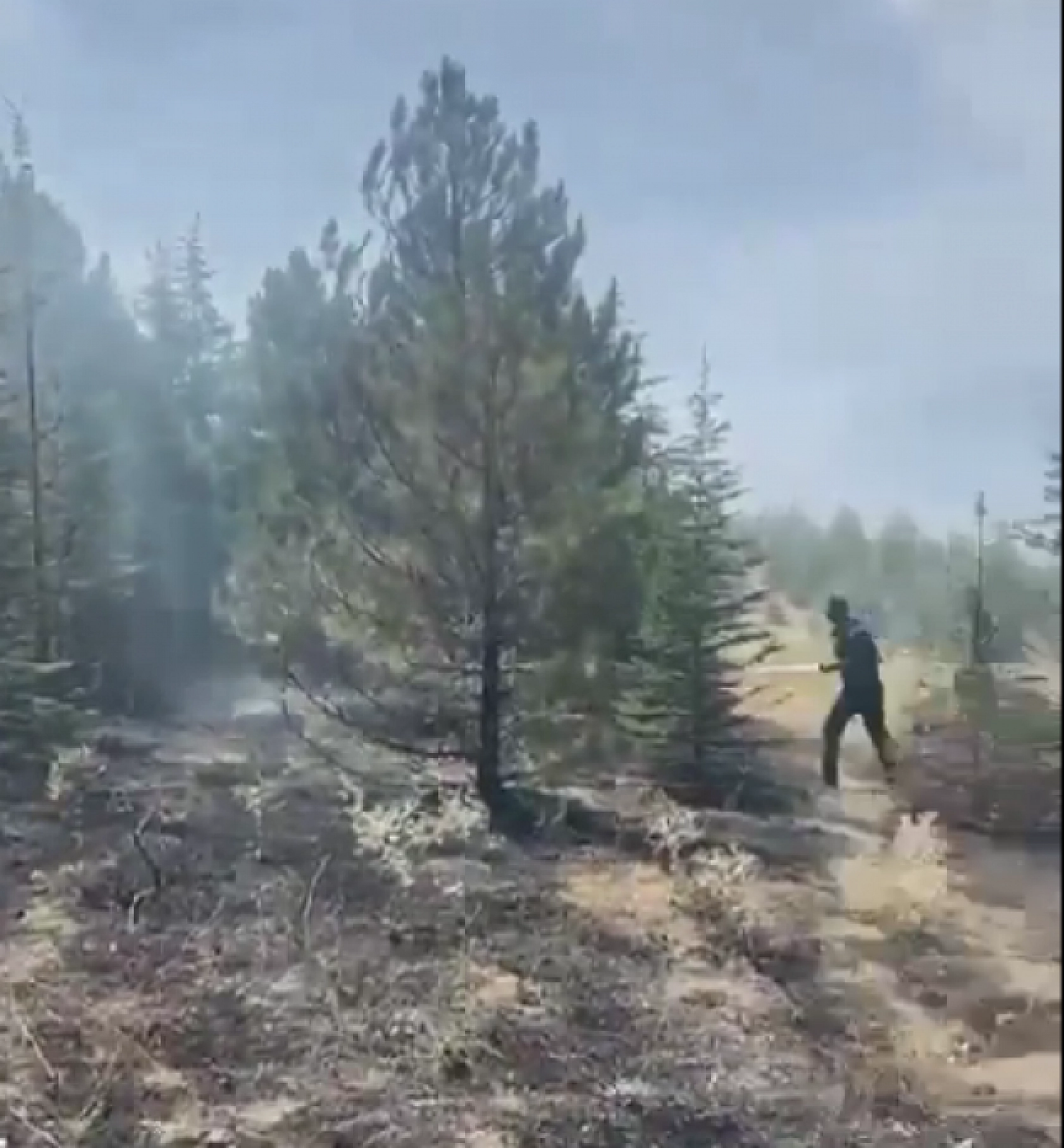 Malatya'da 20 Hektarlık Orman Alanı Küle Döndü: Vali Yavuz, Yangının Sebebini Açıkladı...