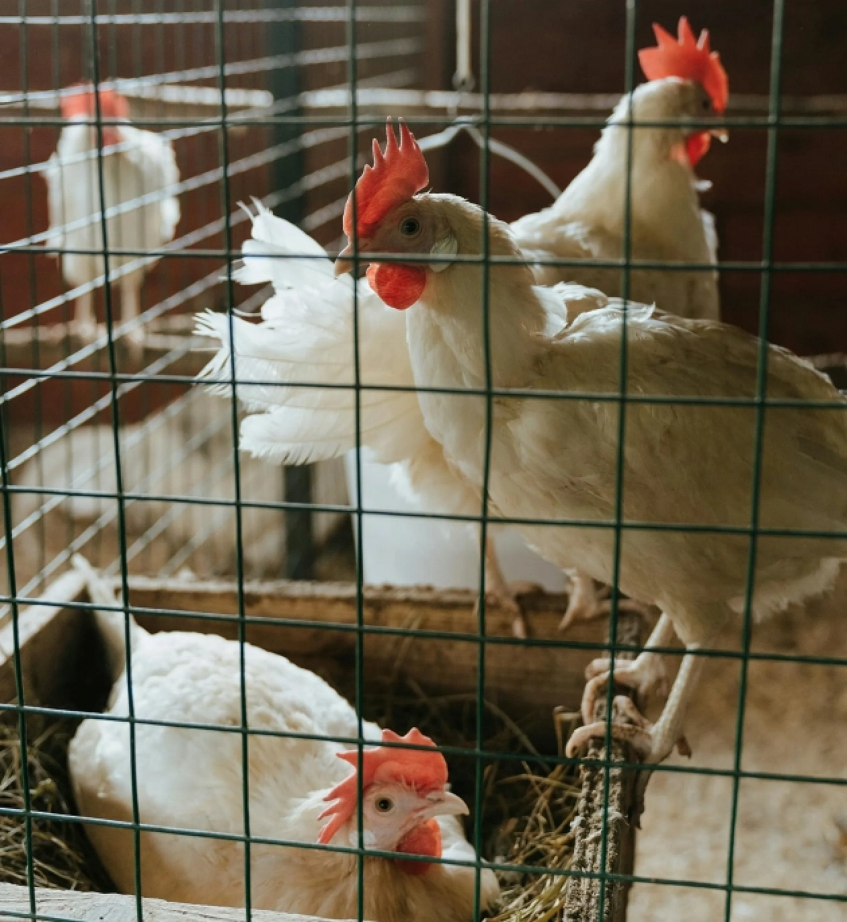 Deprem Raporu Açığa Çıktı: Malatya'da En Çok O Üreticiler Zarar Görmüş!