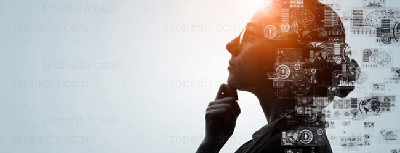 İnönü Üniversitesi'nde Araştırmacı Çok Yayın Yapan Yok! MTÜ Gelişiyor!