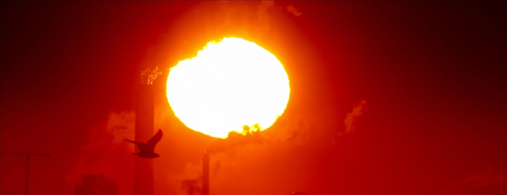 Malatyalılar Dikkat! Gün Geçtikçe Artıyor!