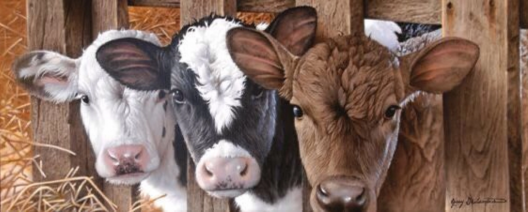 Malatya'da Üreticilere Bin TL Destek! Son Başvuru Tarihi Yaklaşıyor!