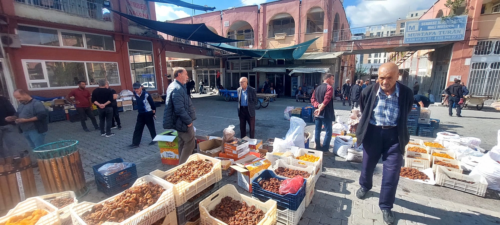 Zirai don yüzde 24 azalttı: Malatya'da kuru kayısı yüz güldürmedi