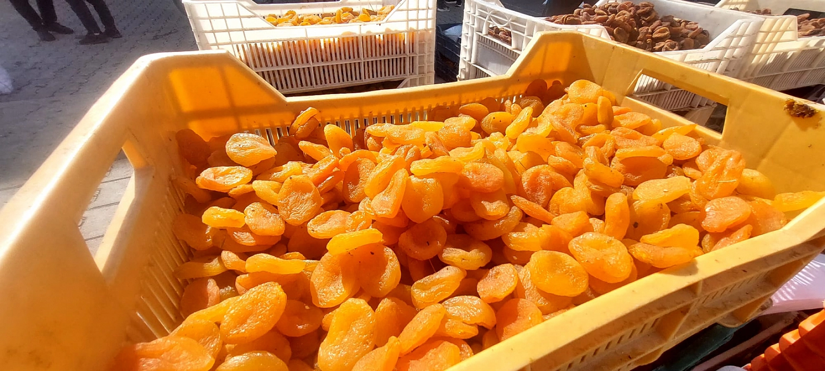 Zirai don yüzde 24 azalttı: Malatya'da kuru kayısı yüz güldürmedi