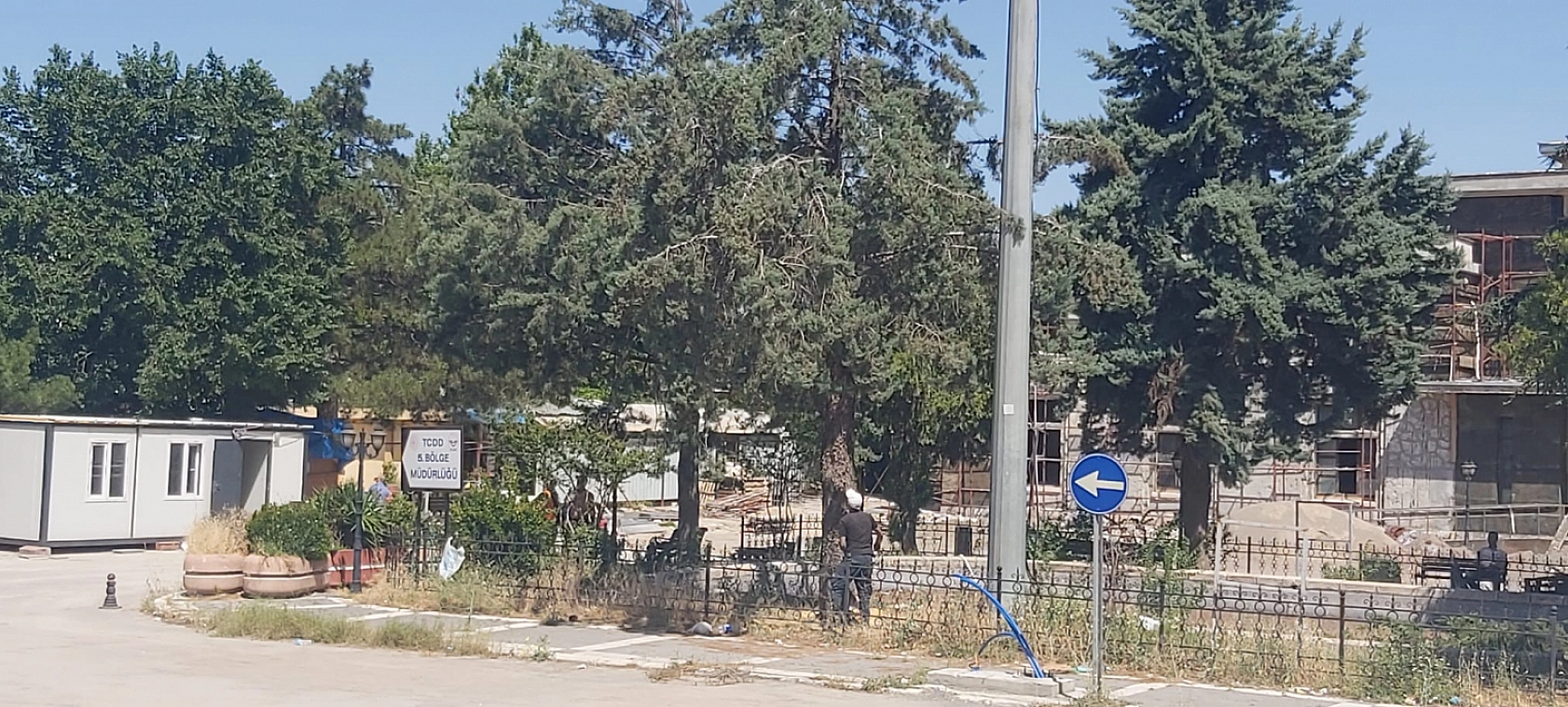 Malatya'da yeşil alanlar grileştiriliyor: 35 yıllık ağaçlar betona kurban ediliyor!