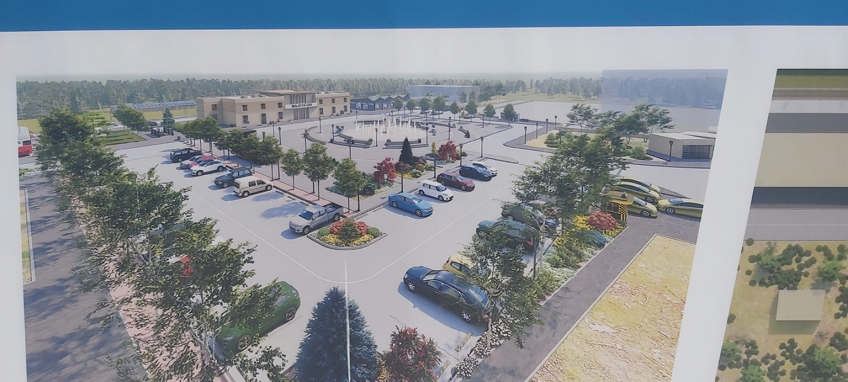 Malatya'da yeşil alanlar grileştiriliyor: 35 yıllık ağaçlar betona kurban ediliyor!