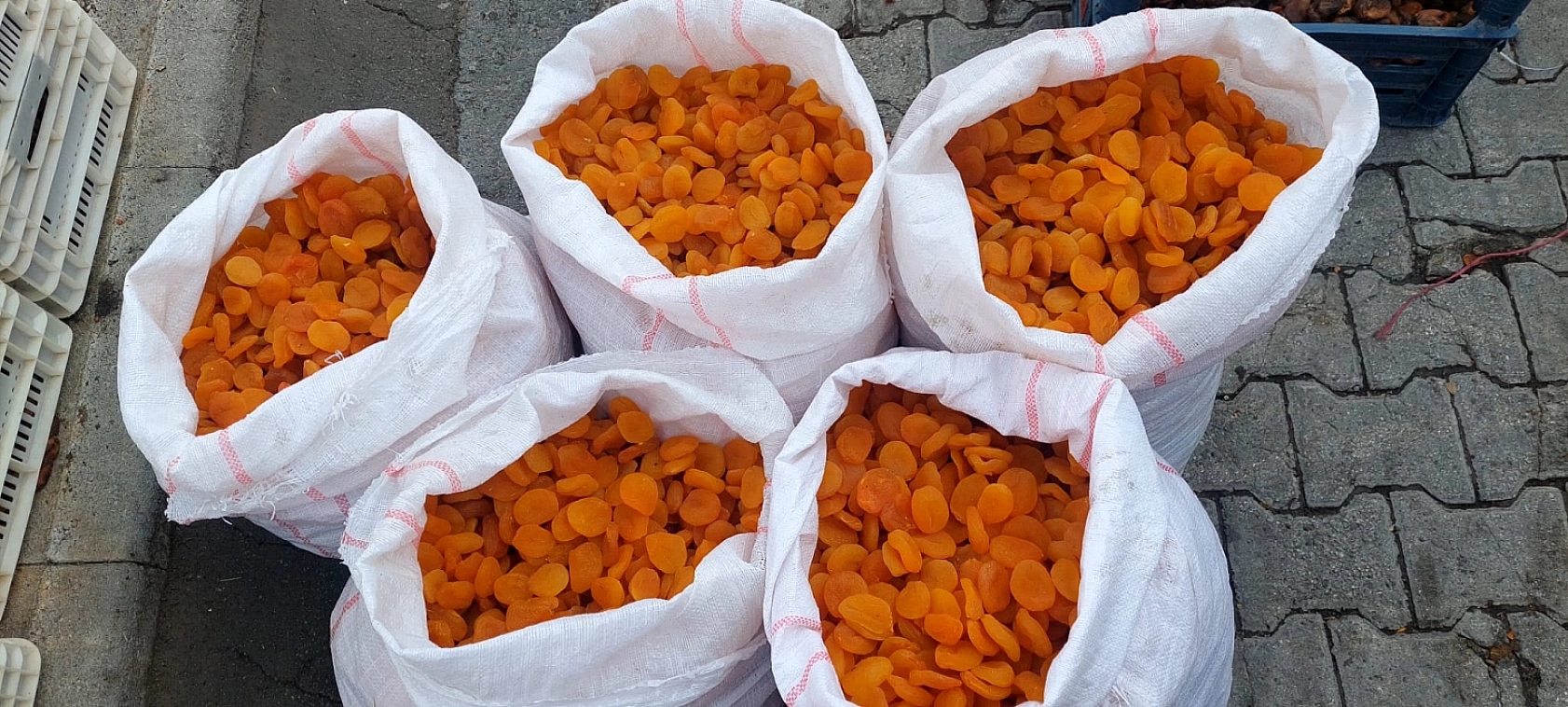 Zirai don yüzde 24 azalttı: Malatya'da kuru kayısı yüz güldürmedi