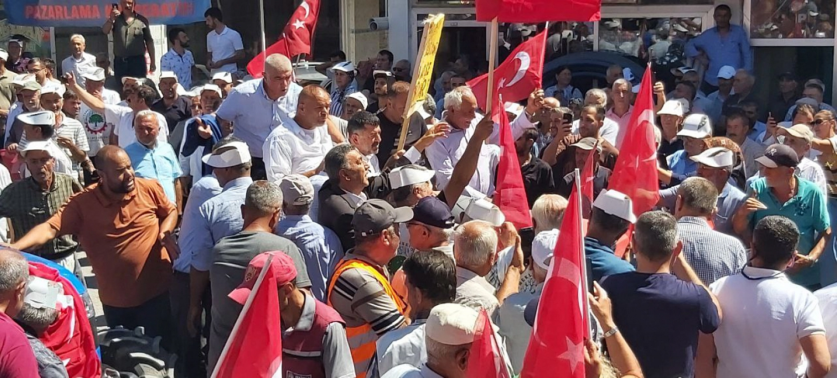 Malatya Kayısısı Çığlık Atmaya Devam Ediyor: Kayısı Üreticileri Ayakta!