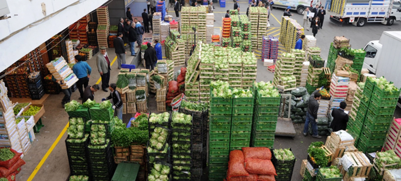 Malatya'da 5 Kasım Hal Fiyatları: Meyve-Sebze Fiyatları Ne Kadar? İşte Yanıtı…
