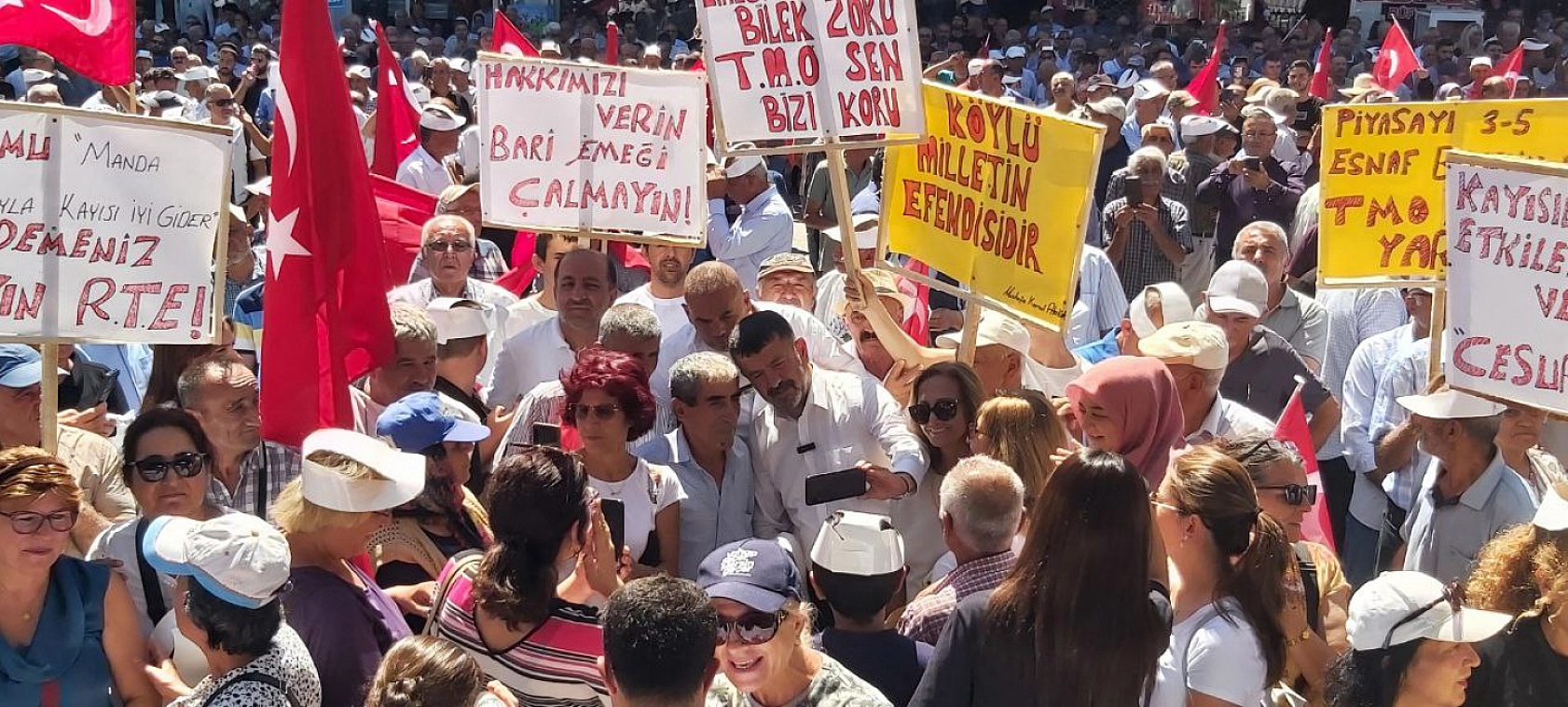 Malatya Kayısısı Çığlık Atmaya Devam Ediyor: Kayısı Üreticileri Ayakta!