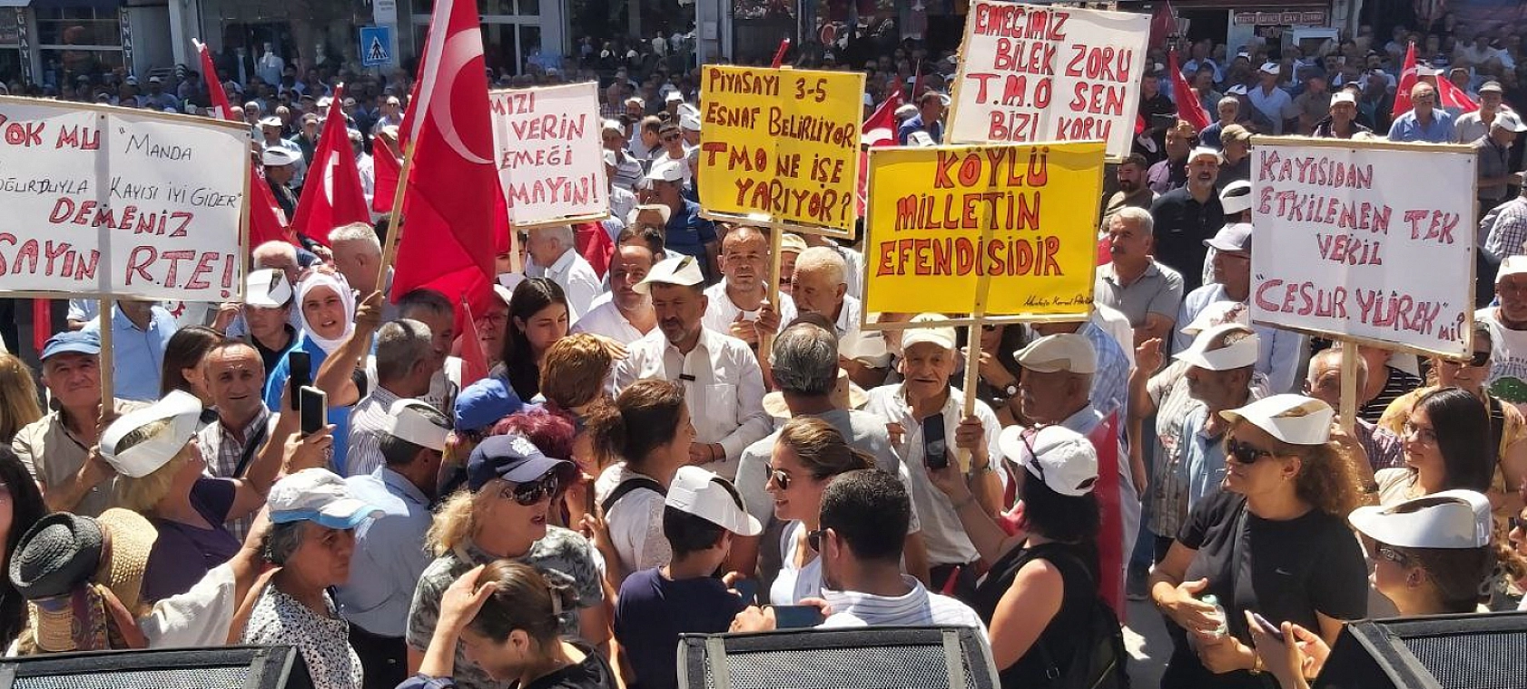 Malatya Kayısısı Çığlık Atmaya Devam Ediyor: Kayısı Üreticileri Ayakta!