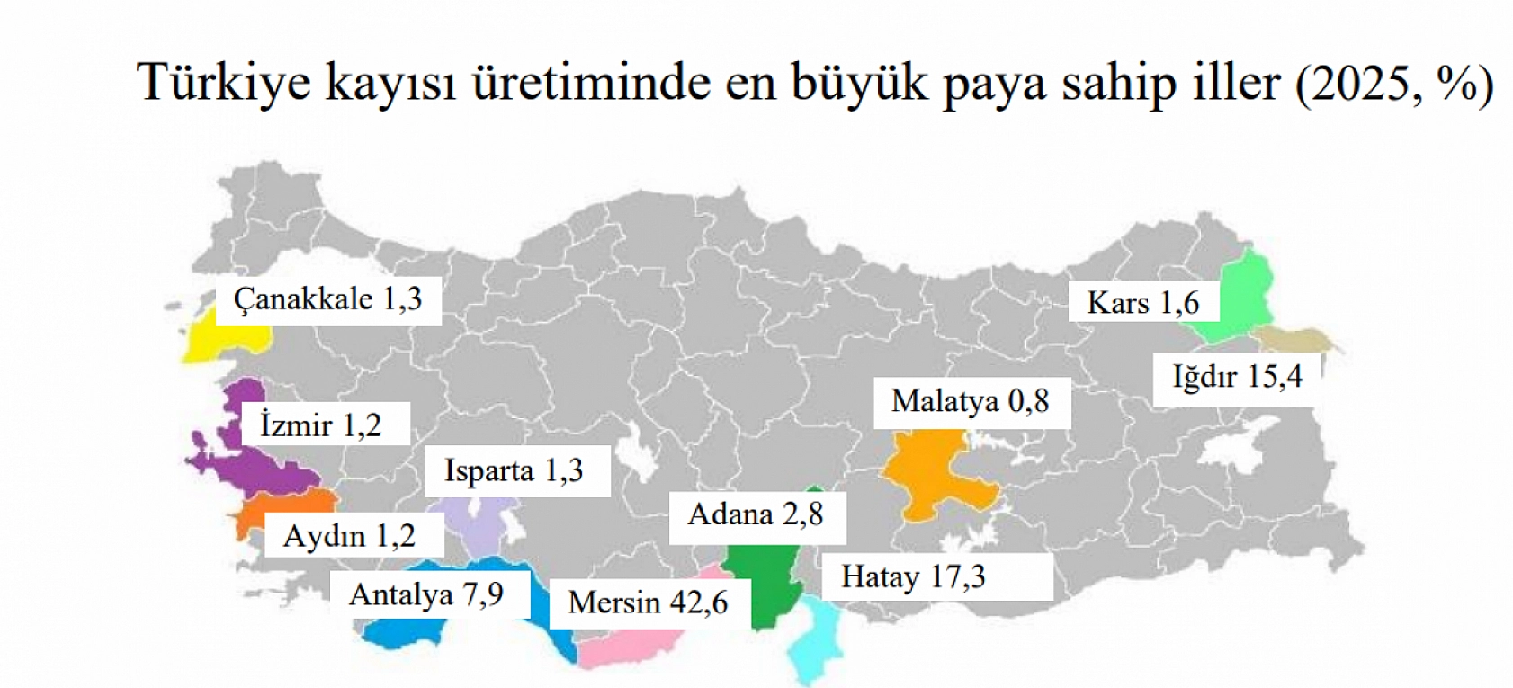 TÜİK verileri açıkladı: Malatya'da kuru kayısı rekoltesi 715 bin tona ulaşacak