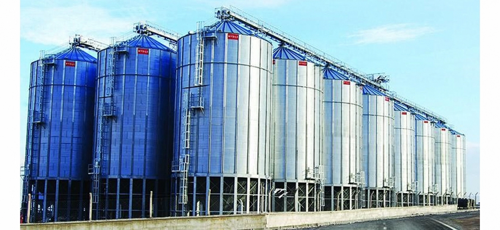 TMO'dan Alım Kararı! Malatya Kayısısı Giresun Fındığının Gölgesinde Kaldı!