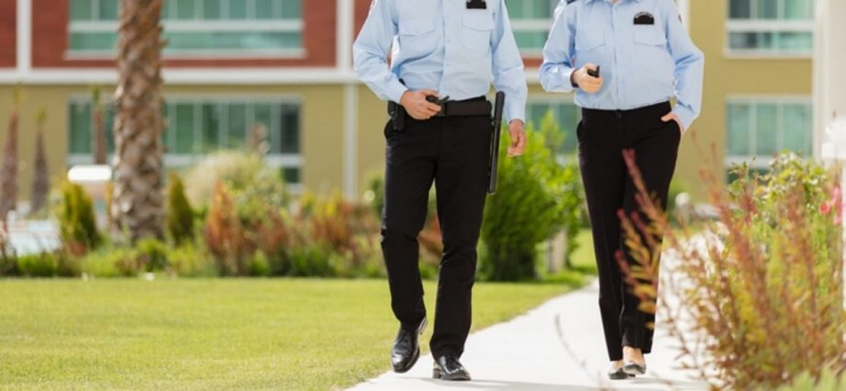 En Hızlı Büyüyen Meslekler Belli Oldu: Zirvedeki Meslek Şaşırttı!