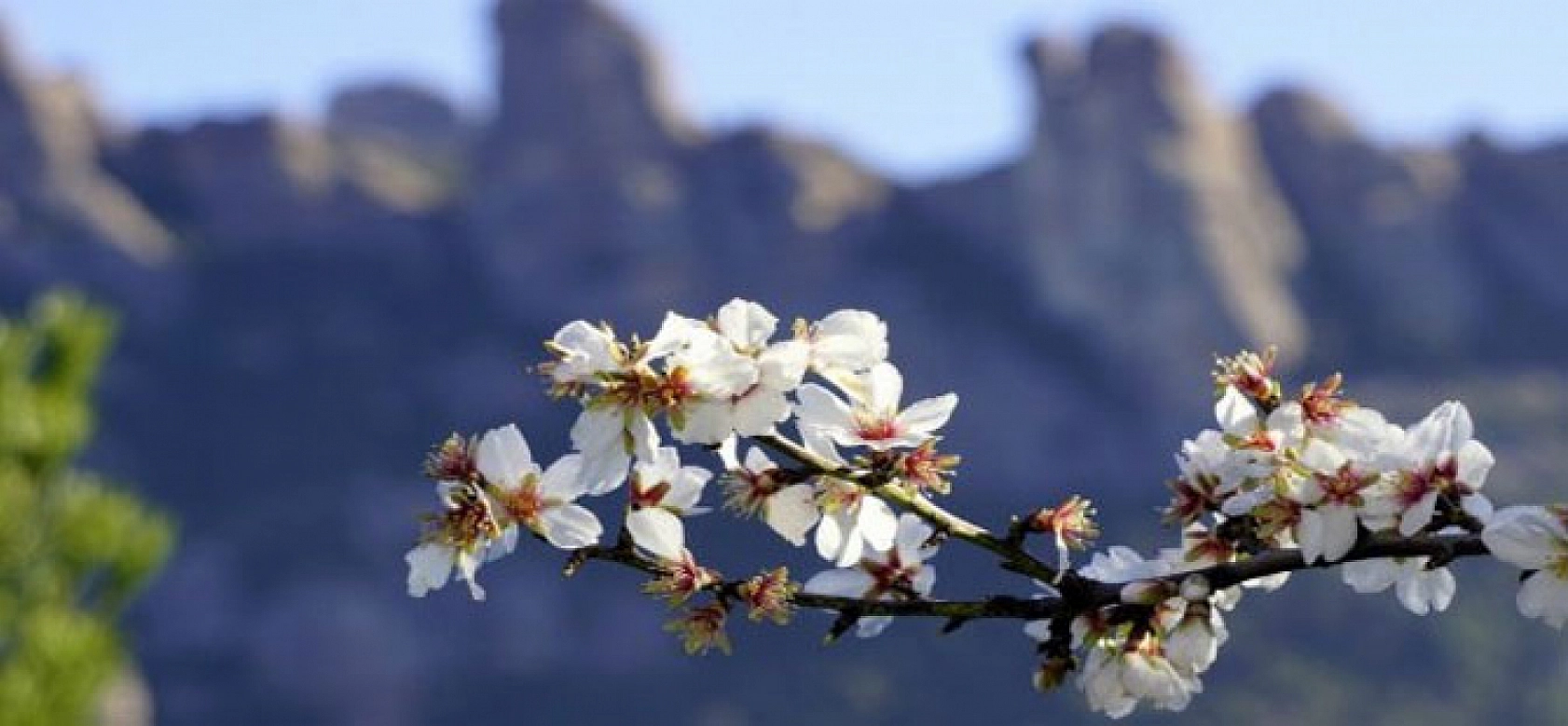 Malatya'da bugün hava nasıl olacak? İşte ilçe ilçe hava durumu tahmini!