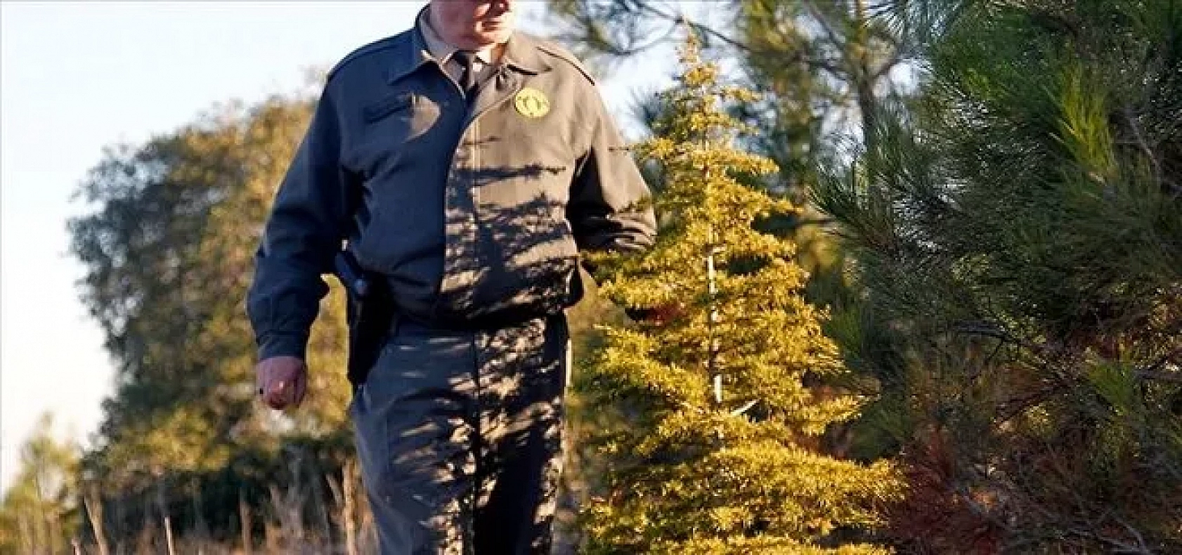 Orman Genel Müdürlüğüne Personel Alımı İçin Geri Sayım Başladı: Mühendis, Şoför ve Büro Memurları Başvuru Yapabilecek...