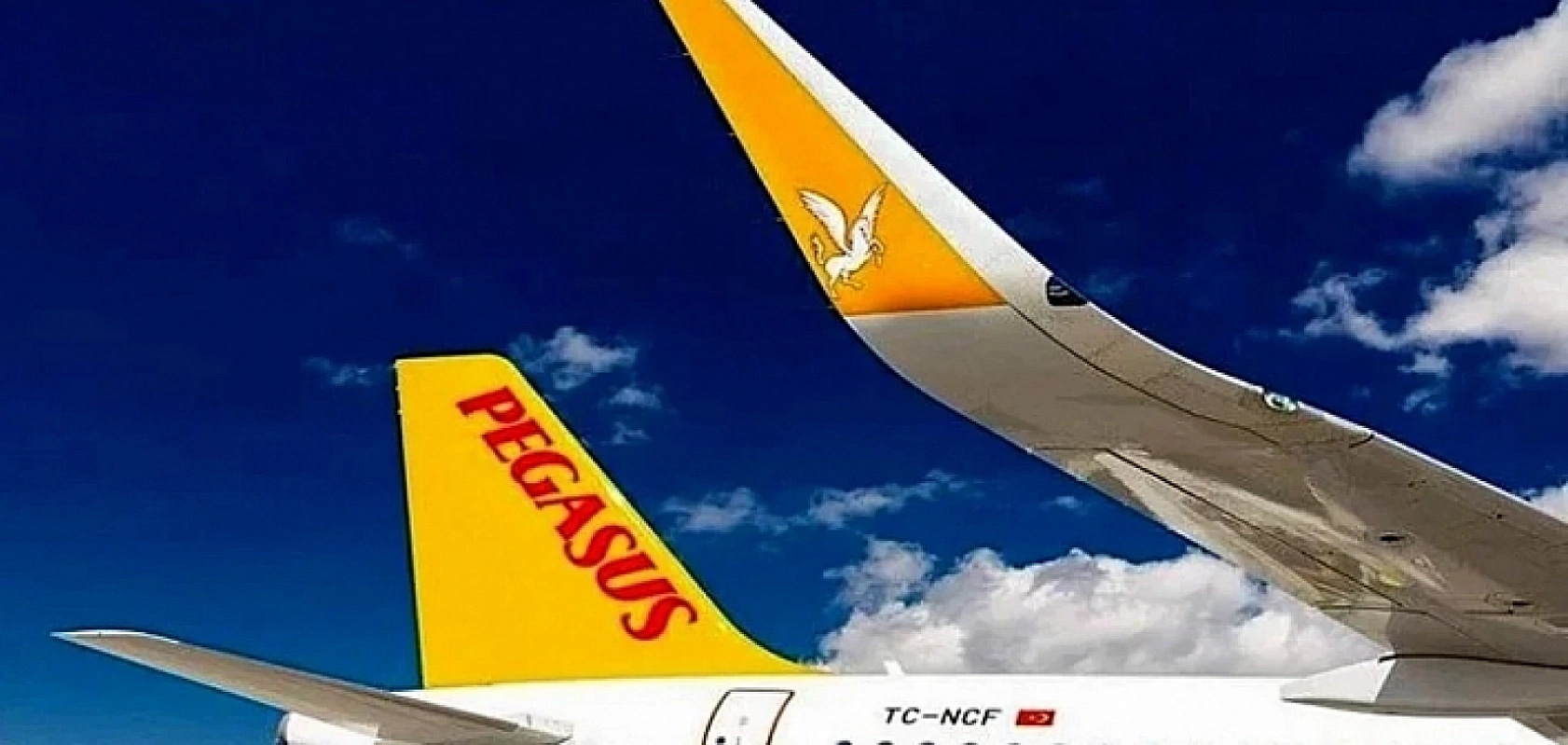Pegasus'tan Şubat Ayı İçin Büyük İndirim!