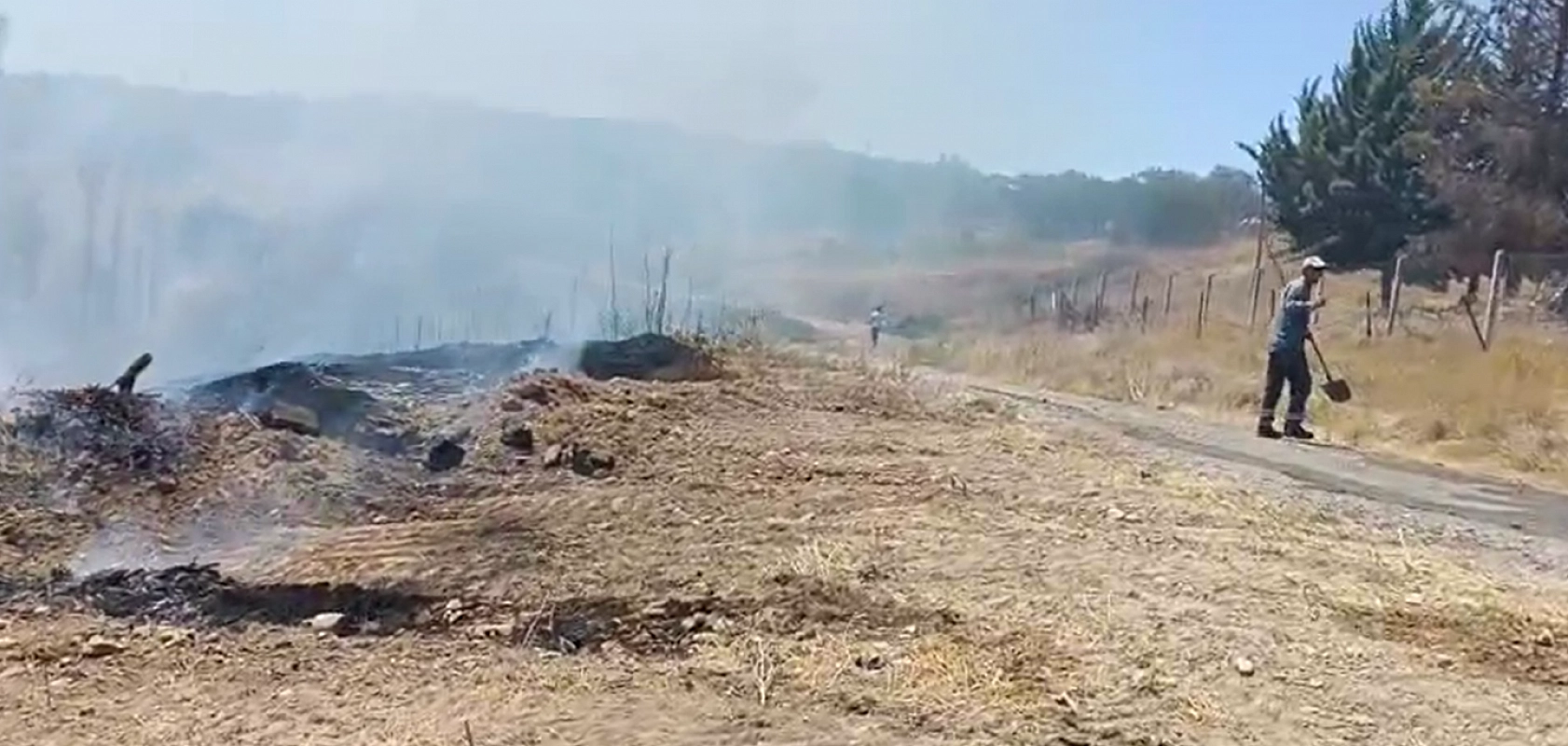 Malatya'da anız yangını kayısı bahçelerine sıçradı! Çiftçi ilaçlama makinesiyle alevlere koştu