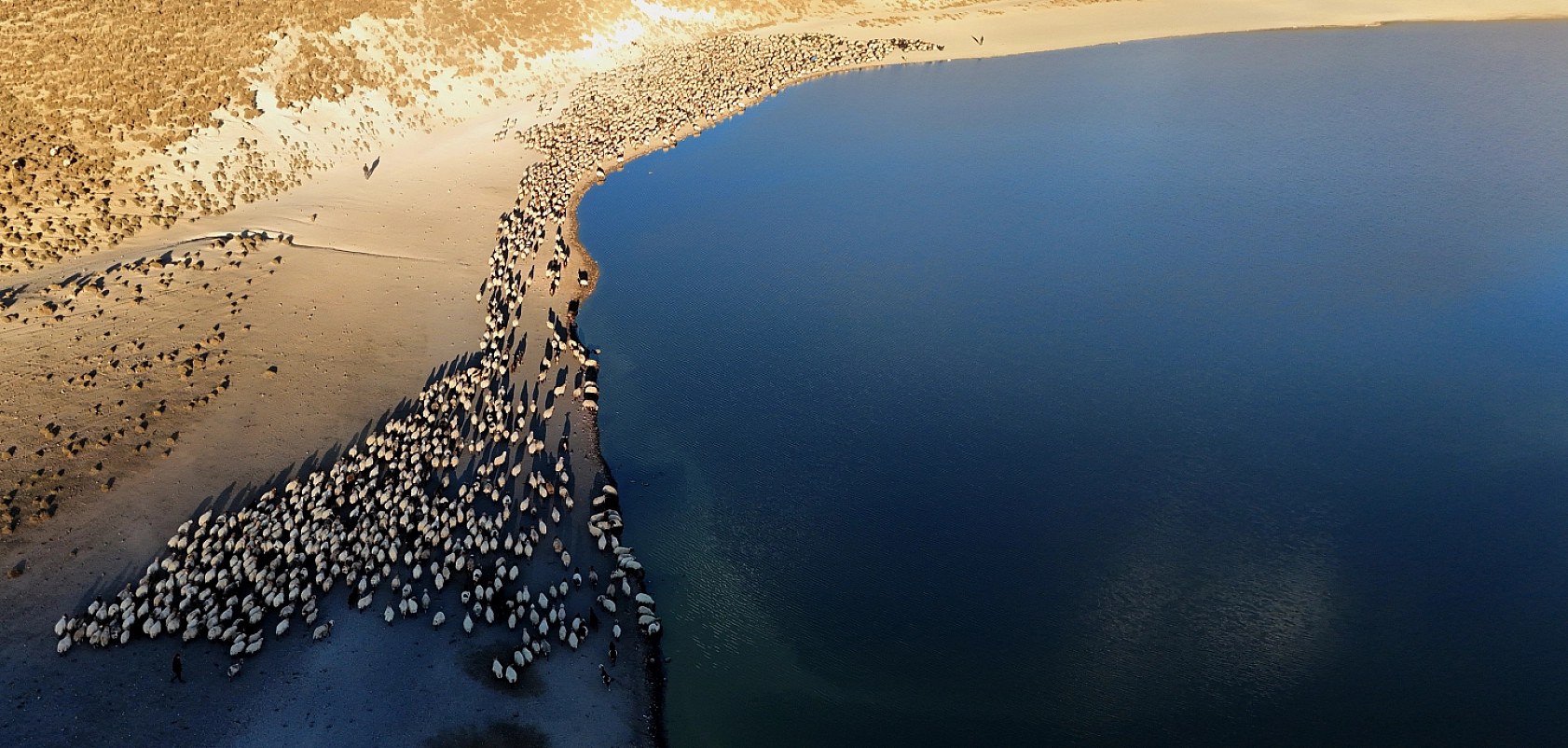 Nemrut Kalderası'nda Sürülerden Kartpostallık Su Yolculuğu