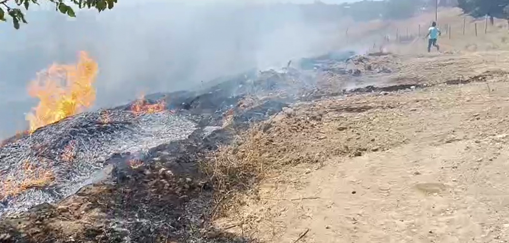 Malatya'da anız yangını kayısı bahçelerine sıçradı! Çiftçi ilaçlama makinesiyle alevlere koştu