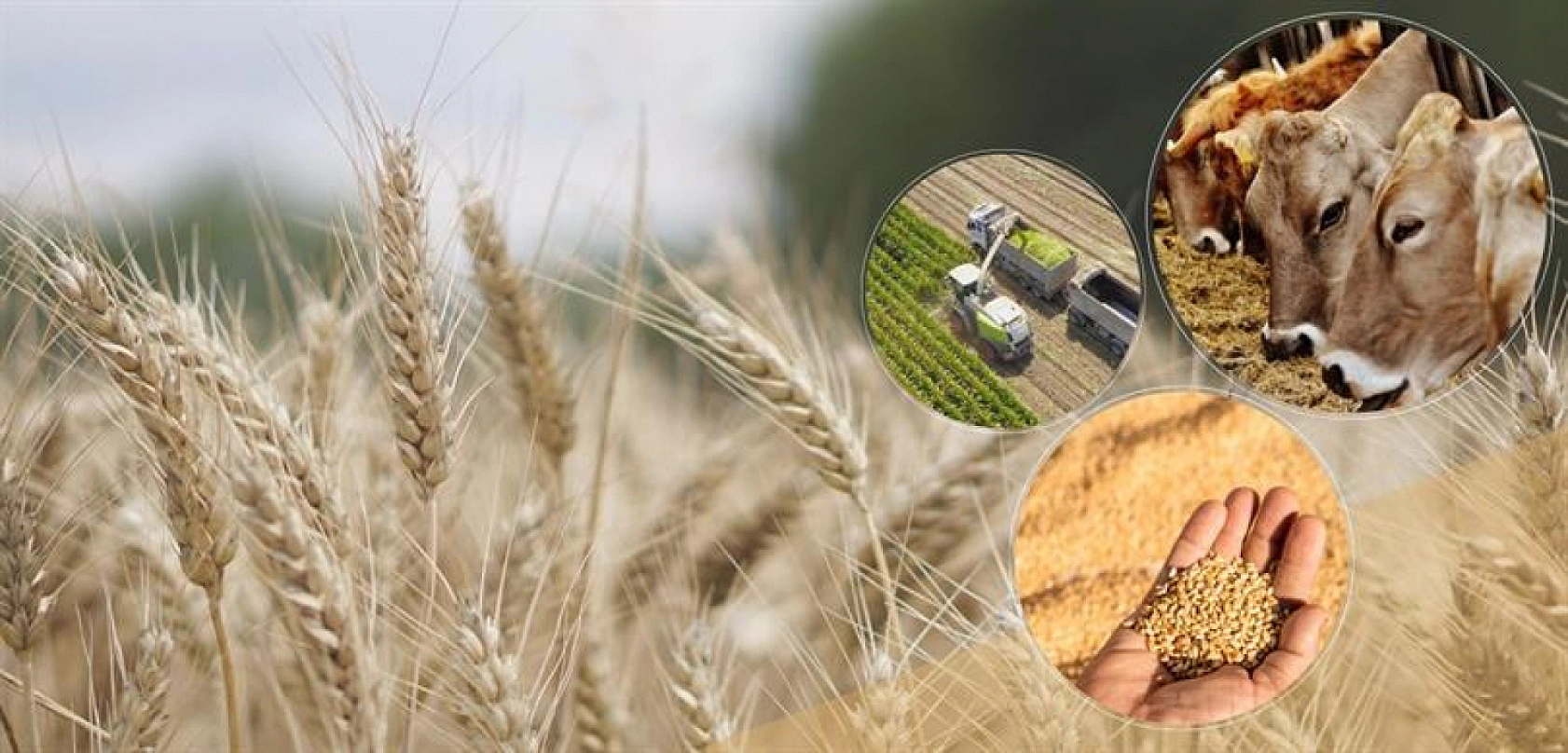 Malatyalılar dikkat: Hesaplarınızı kontrol edin ödemeler yatıyor…