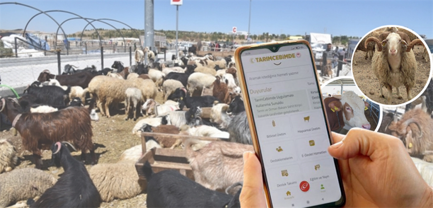 Malatyalılar Dikkat! Uygulama Yenilendi İşiniz Artık Daha Kolay Olacak …