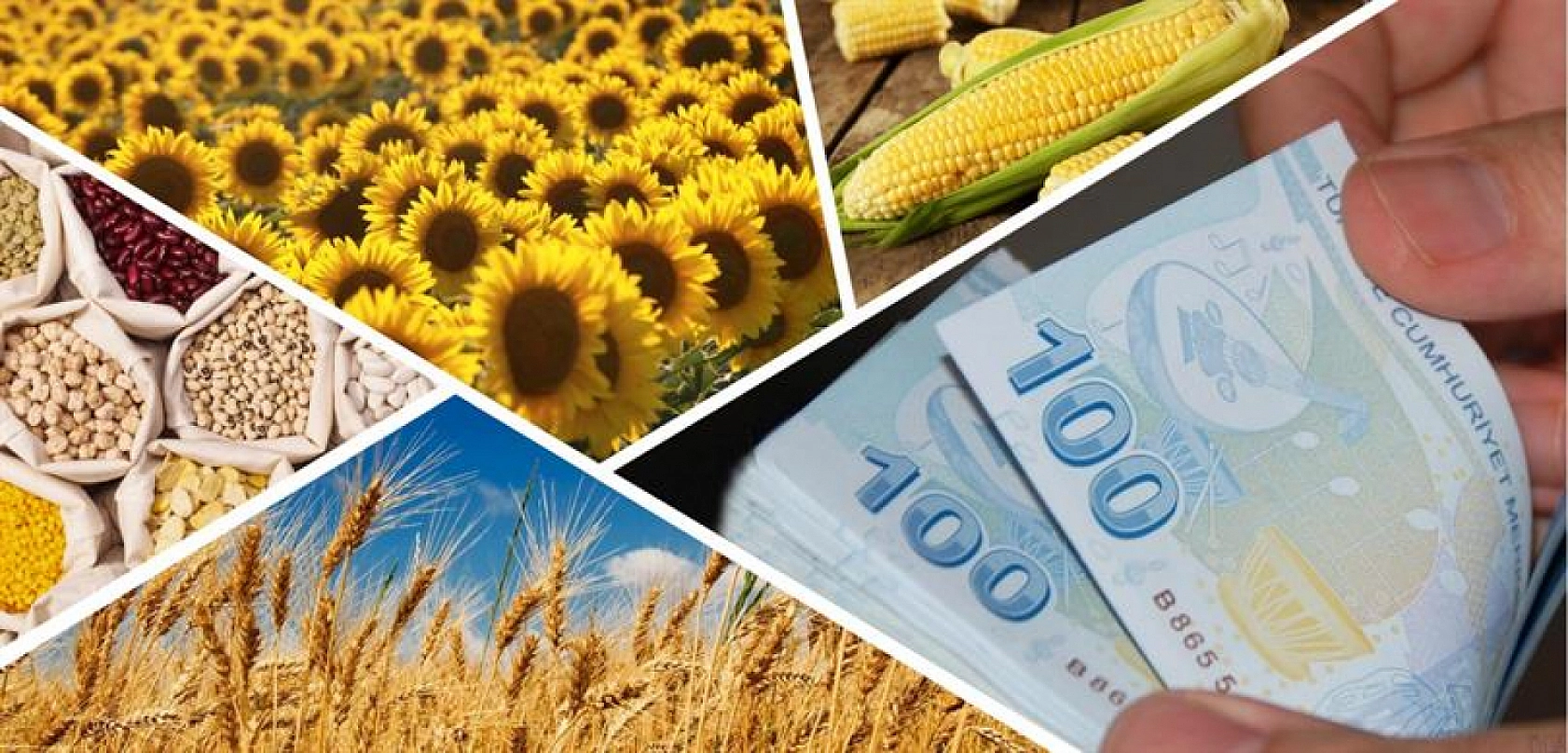 Malatyalılar dikkat: Hesaplarınızı kontrol edin ödemeler yatıyor…