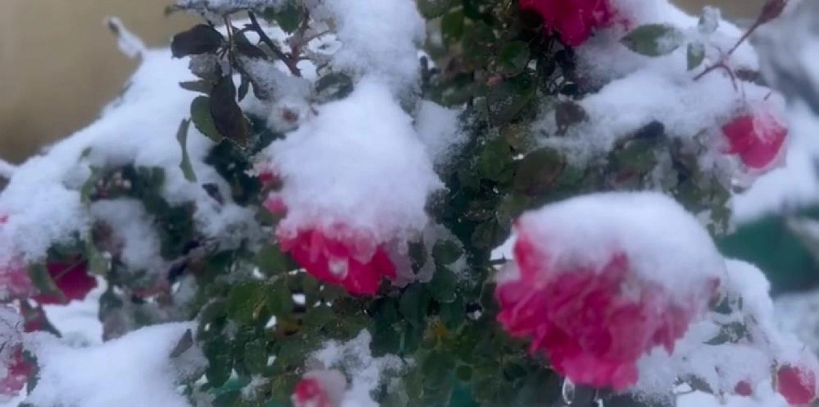 Malatya'da Hava Durumu! 27 Kasım'da Nasıl Olacak....