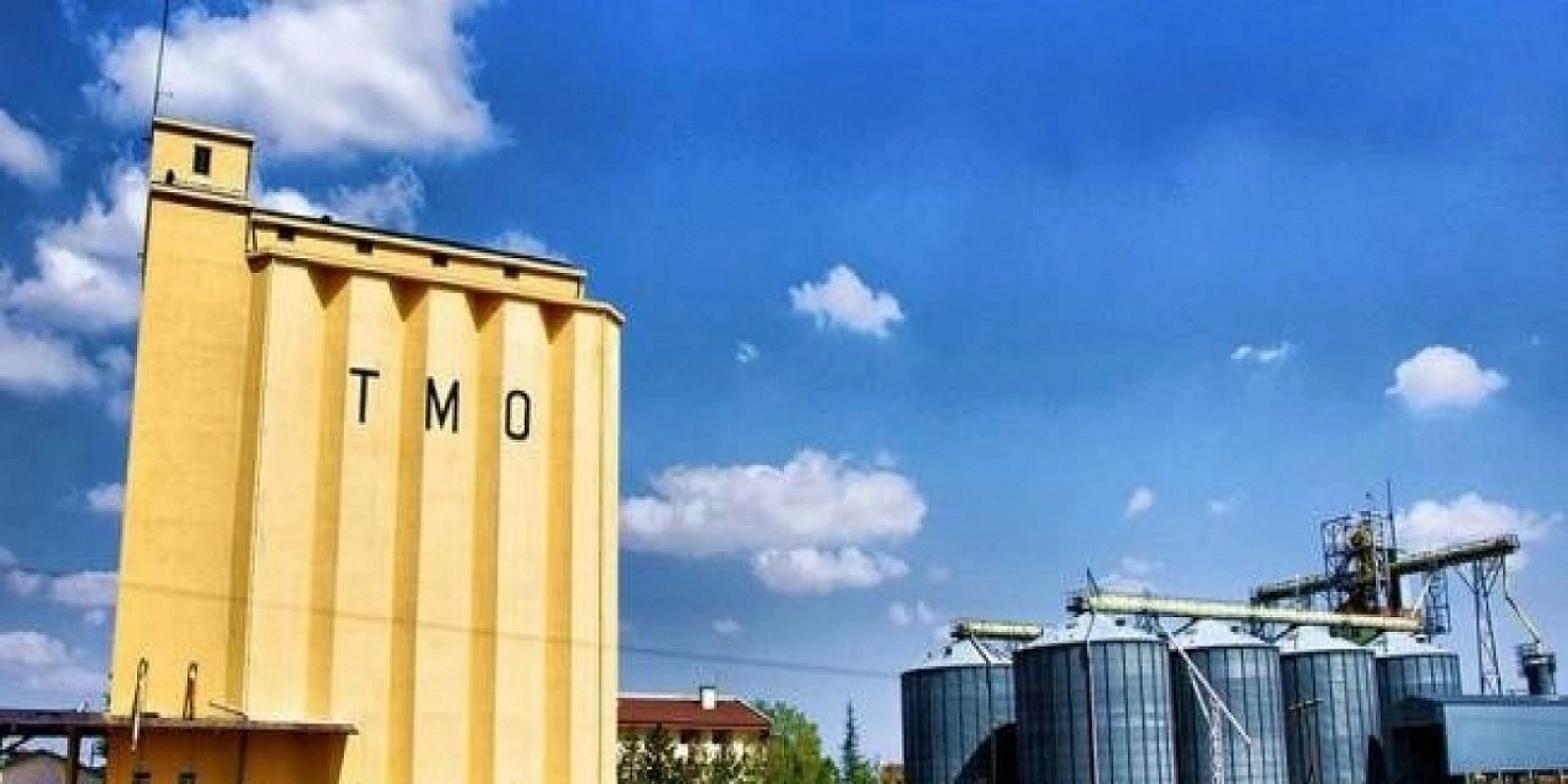 Malatya'ya Müjde! TMO Alım Yapacak! İşte Detaylar...