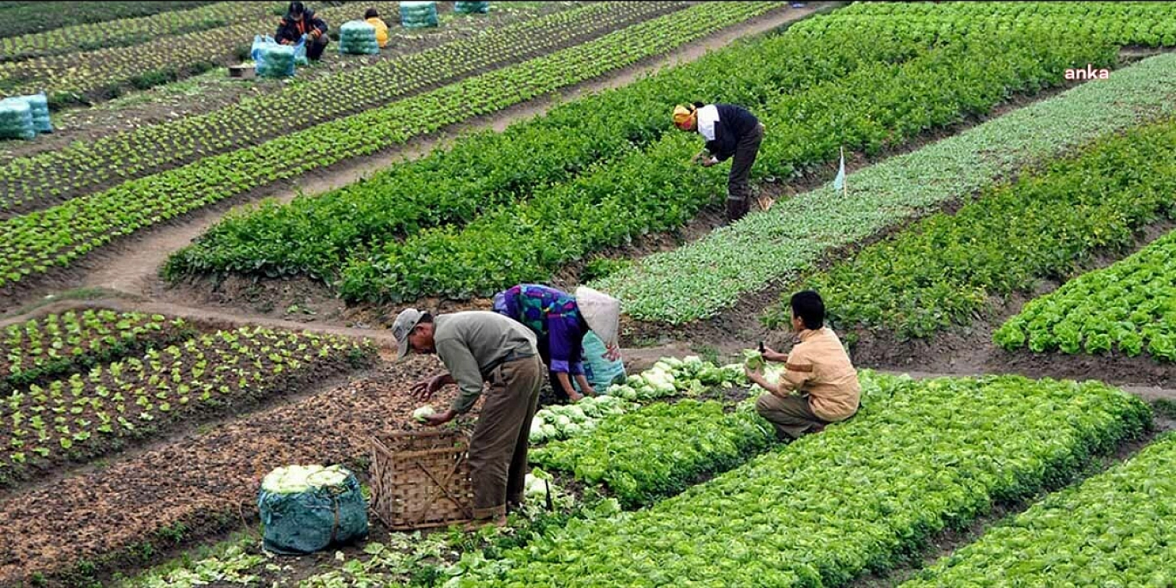 En Hızlı Büyüyen Meslekler Belli Oldu: Zirvedeki Meslek Şaşırttı!