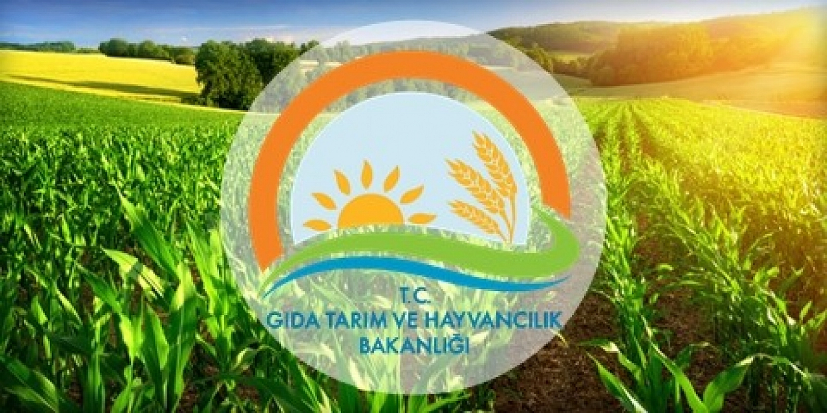 Malatya Çiftçisine Destek Yağmuru: Hesaplara 1 milyar 445 milyon 424 bin Lira Aktarılıyor…