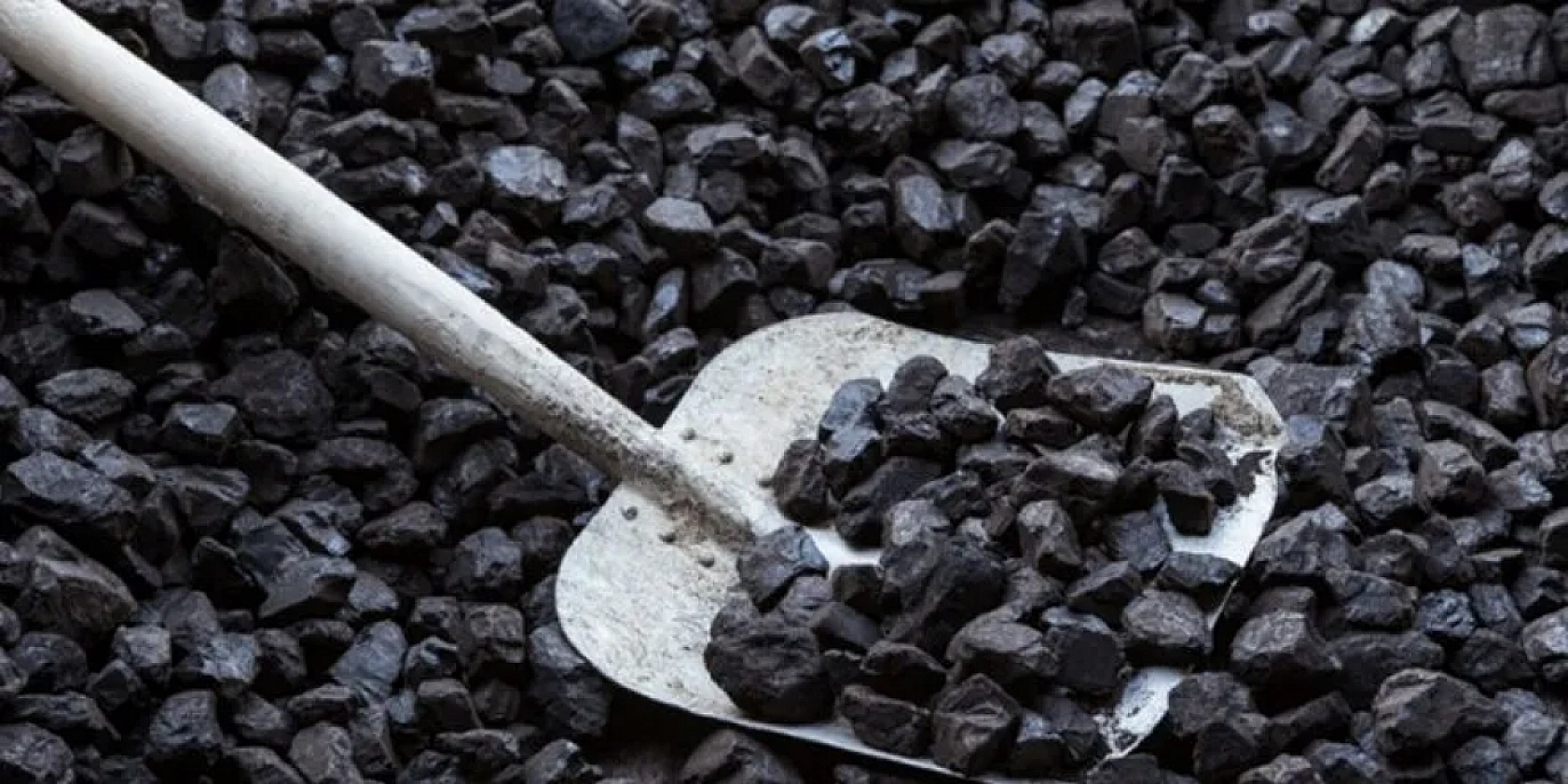 Malatya'da Dağıtılmaya Başlandı! Her Aileye 50'şer Torba Verilecek!