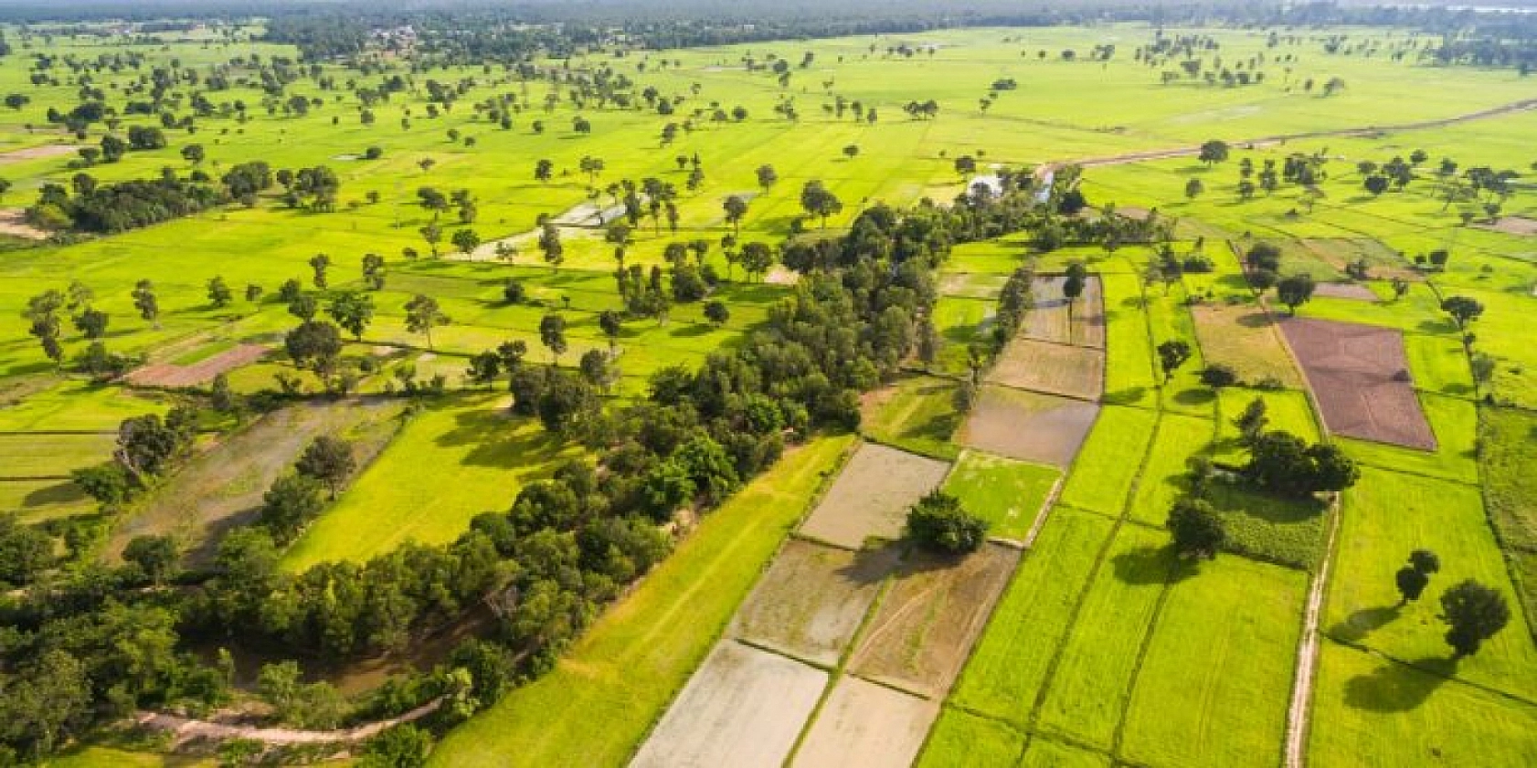 Malatya'da arsa satışı başlıyor! Yüzde 25 peşin, 24 ay vade seçeneği olacak