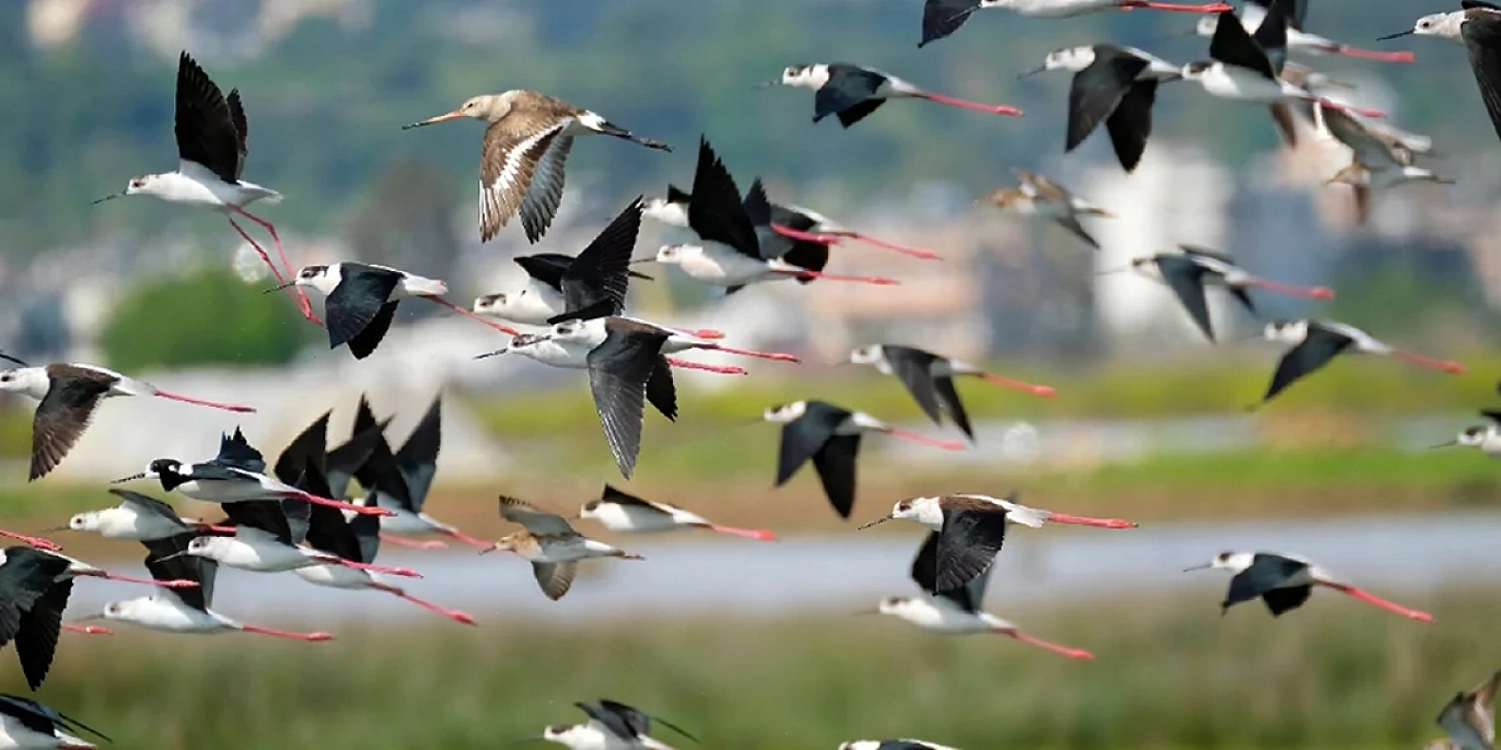 Malatya'da güneş yüzünü gizliyor: Etkisini gösterecek...