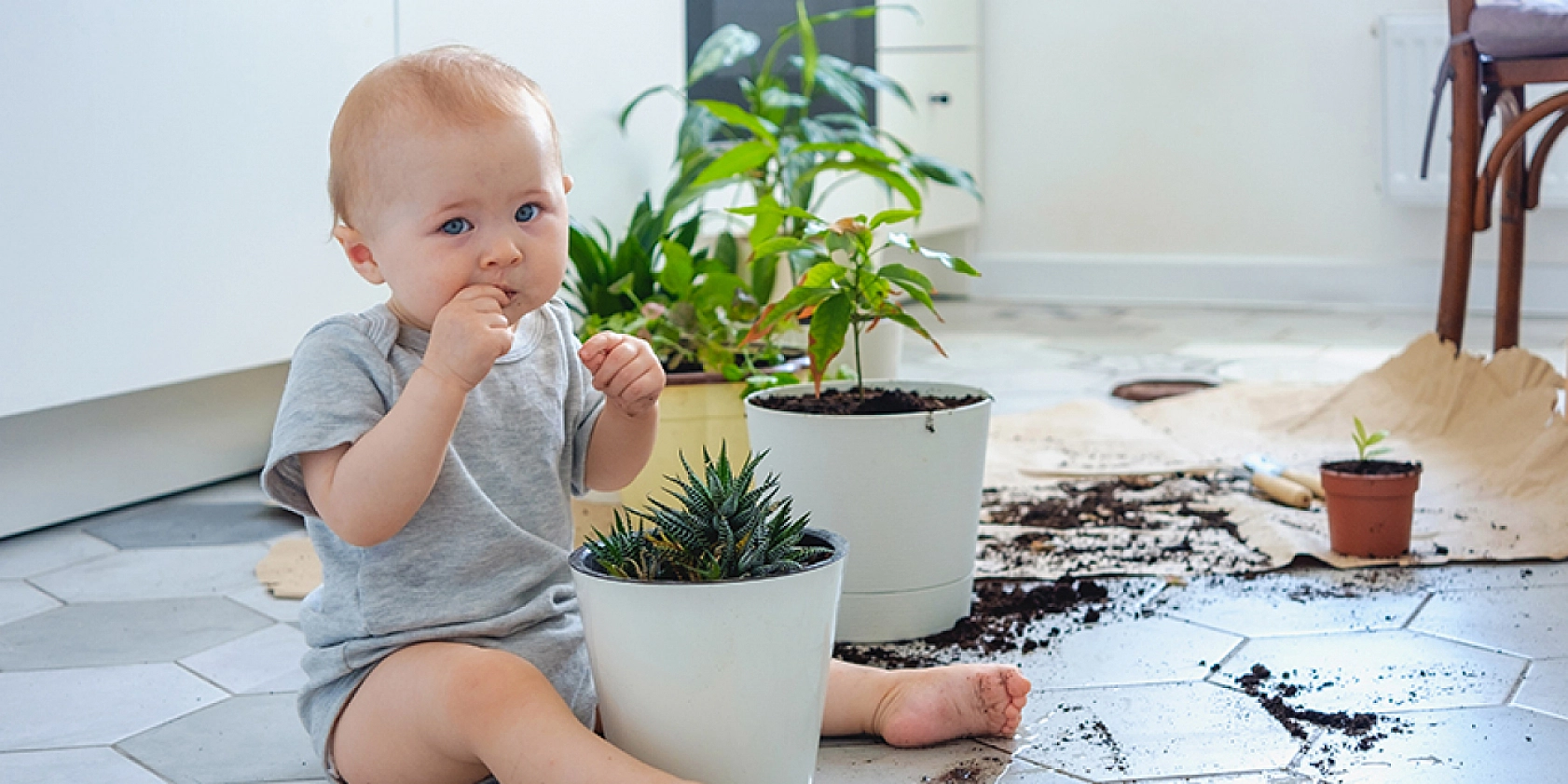 Malatyalı Aileleri Bekleyen Tehlike Pika Sendromu!
