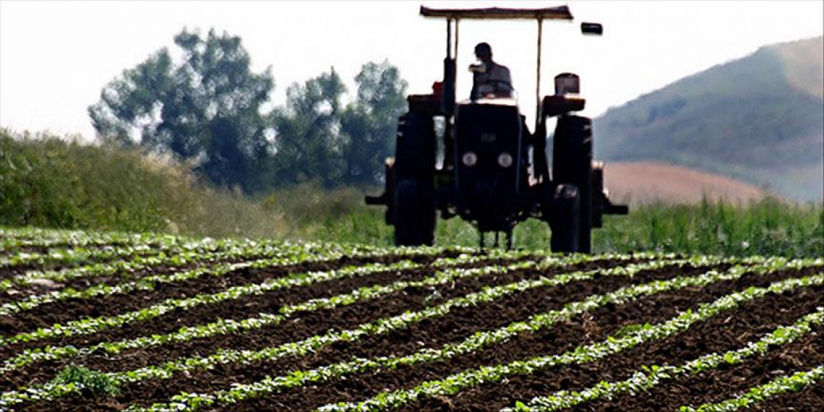 Malatyalılar Dikkat! 597,6 Milyon TL Destek Hesaplara Yatırıldı