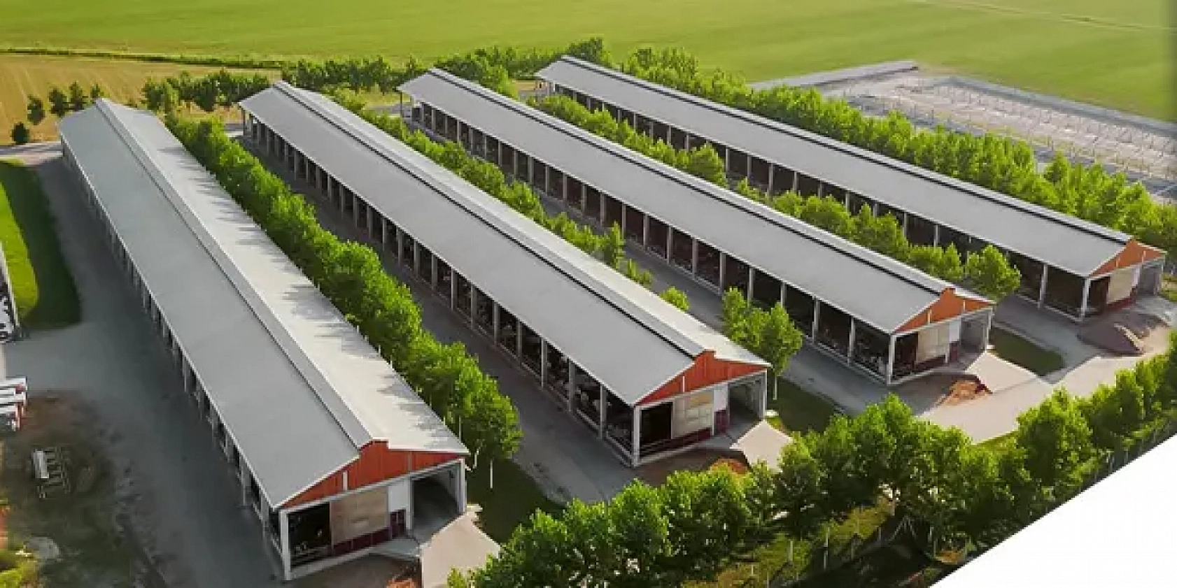 Malatya'da Hayvancılık Yeniden Canlanıyor…90 Milyon Euroluk Destek!