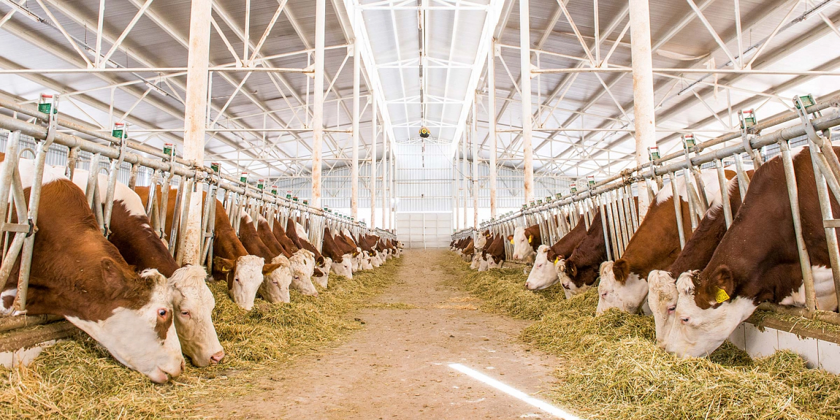 Malatya'da Üçüncü Çağrı Proje Başvuruları Başladı