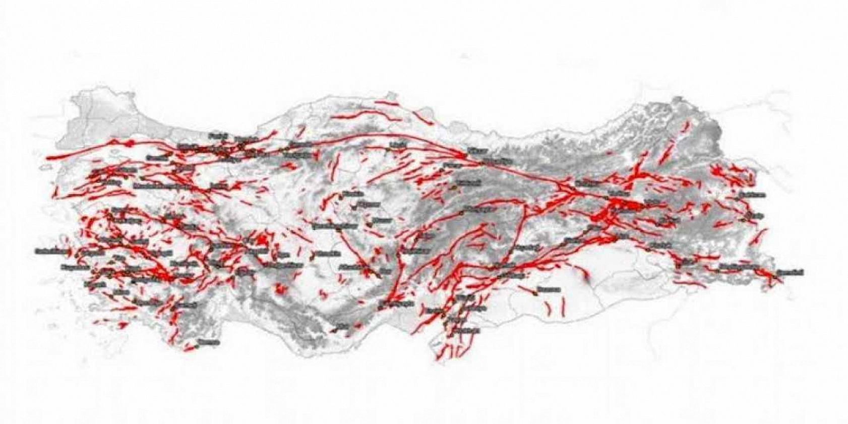 Doğanşehir'deki Sarsıntı Alarm Verdi: Yeni Bir Fay Mı!?