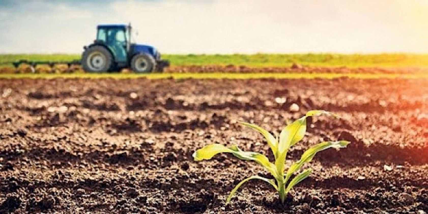 Çiftçilere 3,2 Milyar Liralık Destek Hesaplarda!