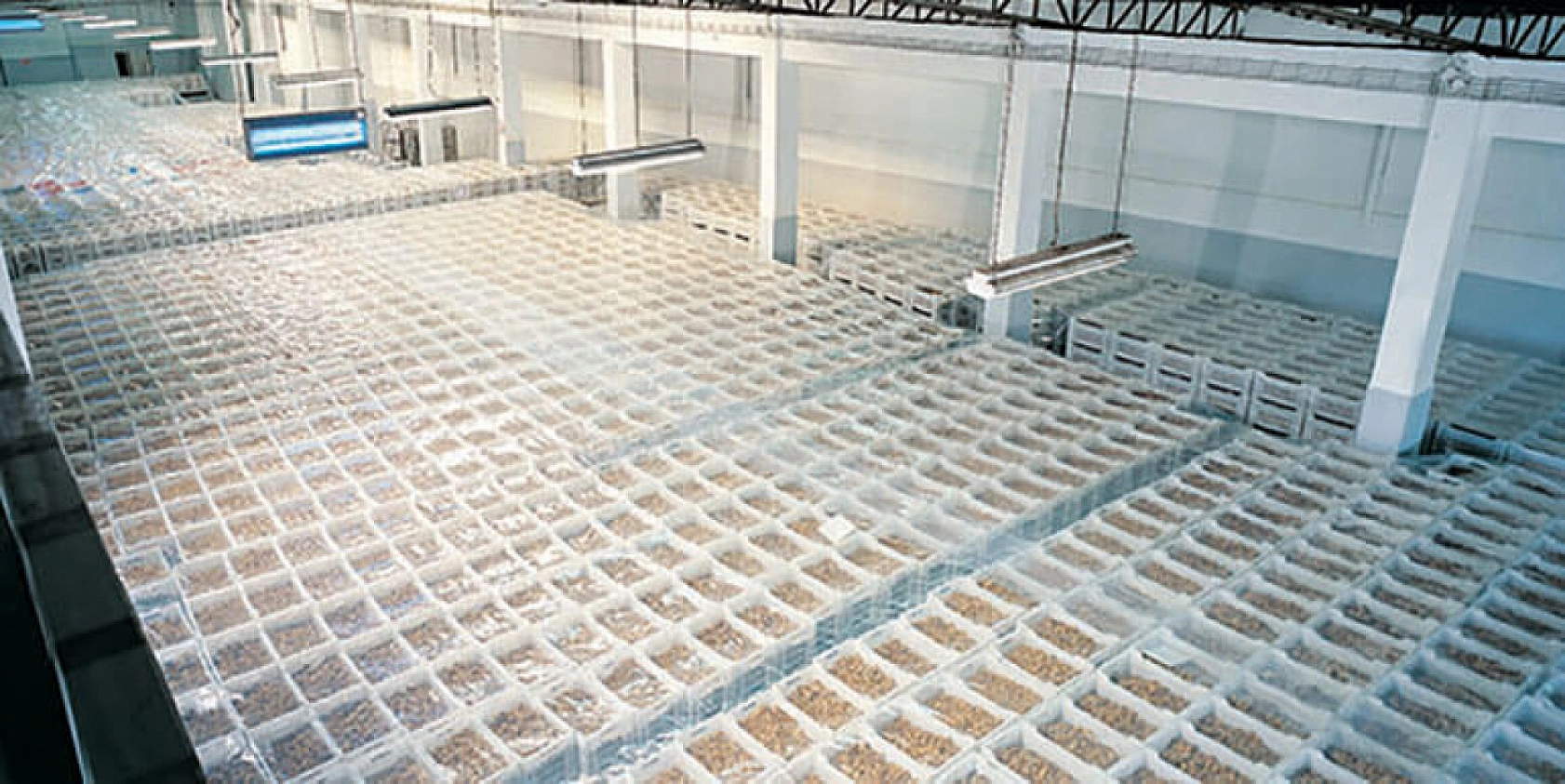 Malatya'ya Yeni Tesis Geliyor...!