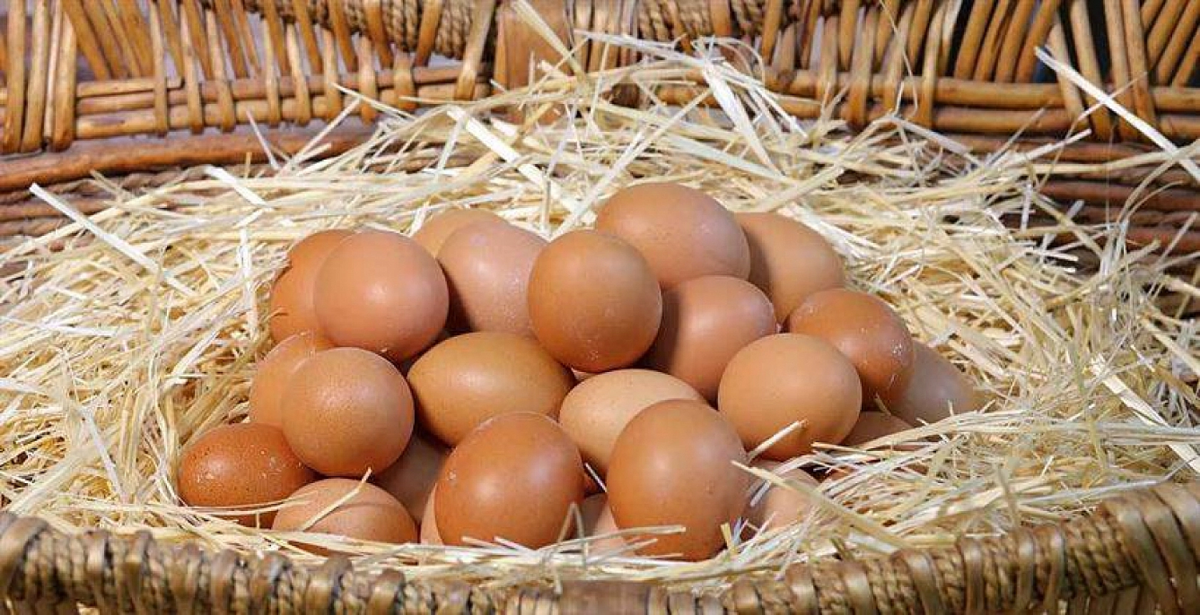 Malatya'da Kümeslerin Dengesi Şaştı: Et Tırmanıyor, Yumurta Eriyor