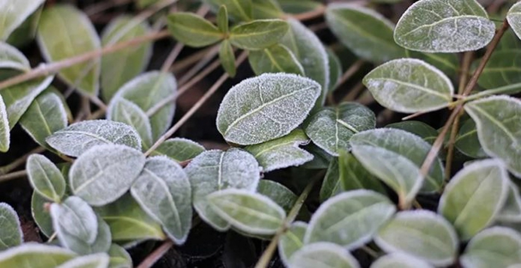Meteoroloji Malatya'yı Uyardı! Sabah ve Gece Saatlerine dikkat!