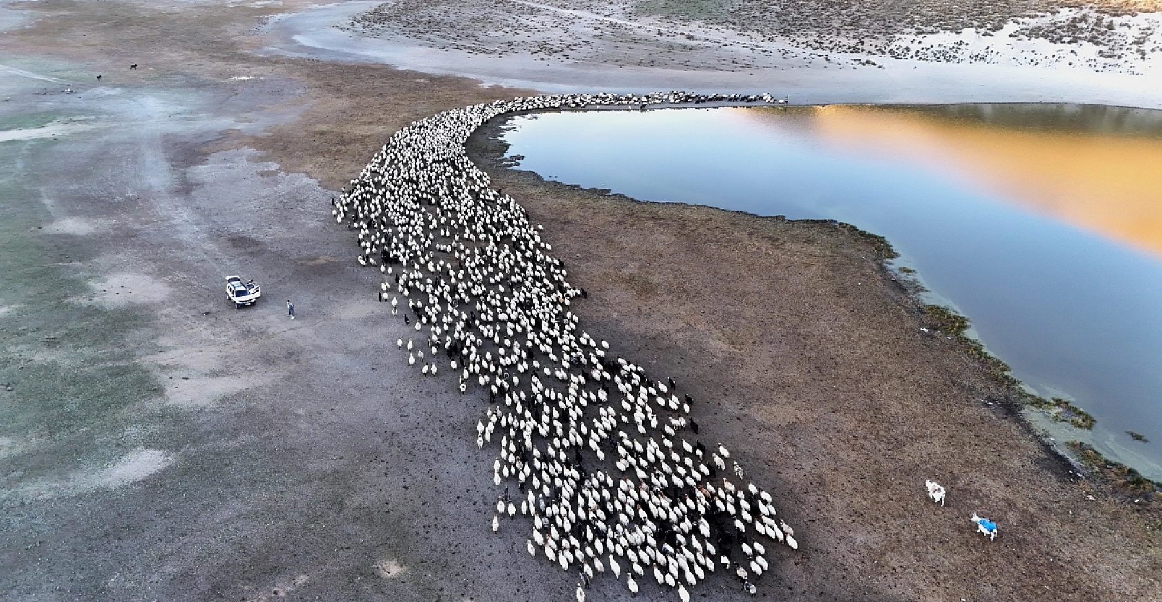 Nemrut Kalderası'nda Sürülerden Kartpostallık Su Yolculuğu