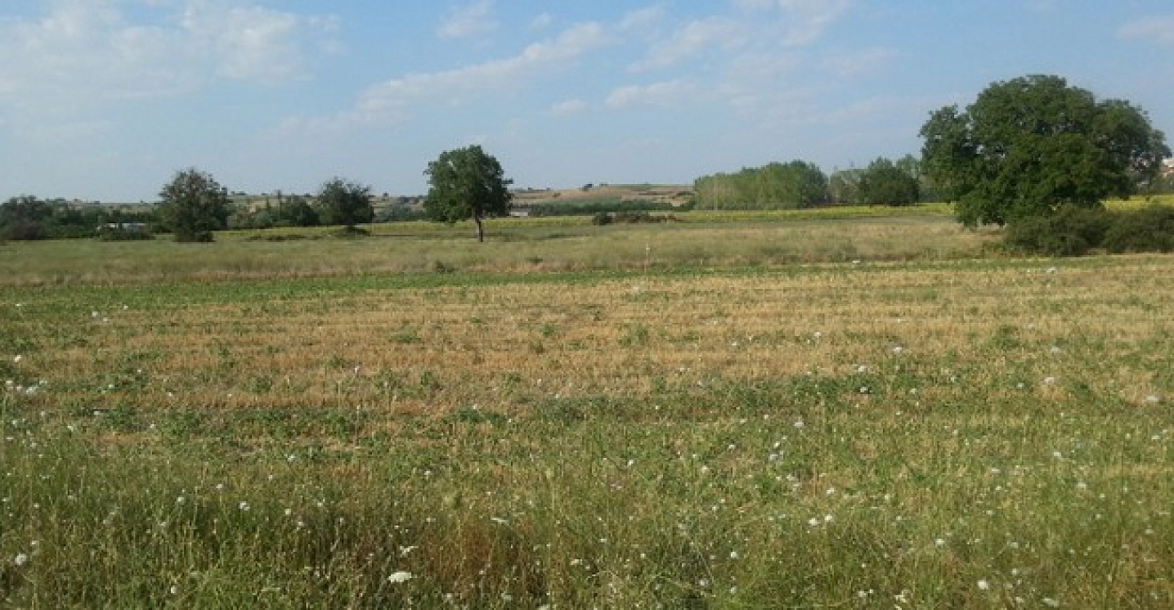Malatya'da arsa satışı başlıyor! Yüzde 25 peşin, 24 ay vade seçeneği olacak