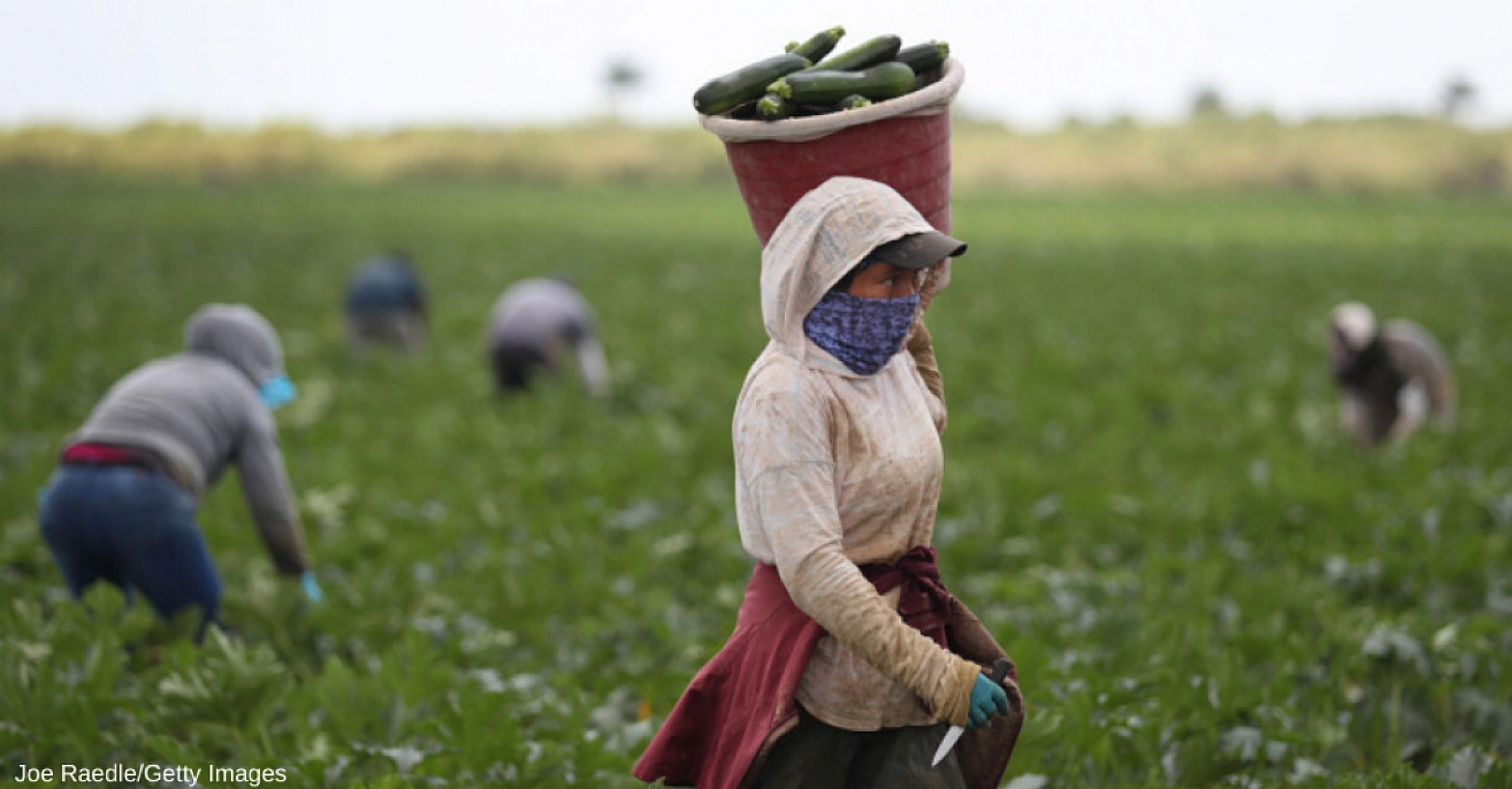 Malatya'da Tarımda Yeni Dönem! Yüzde 100 Mazot Desteği Geliyor!