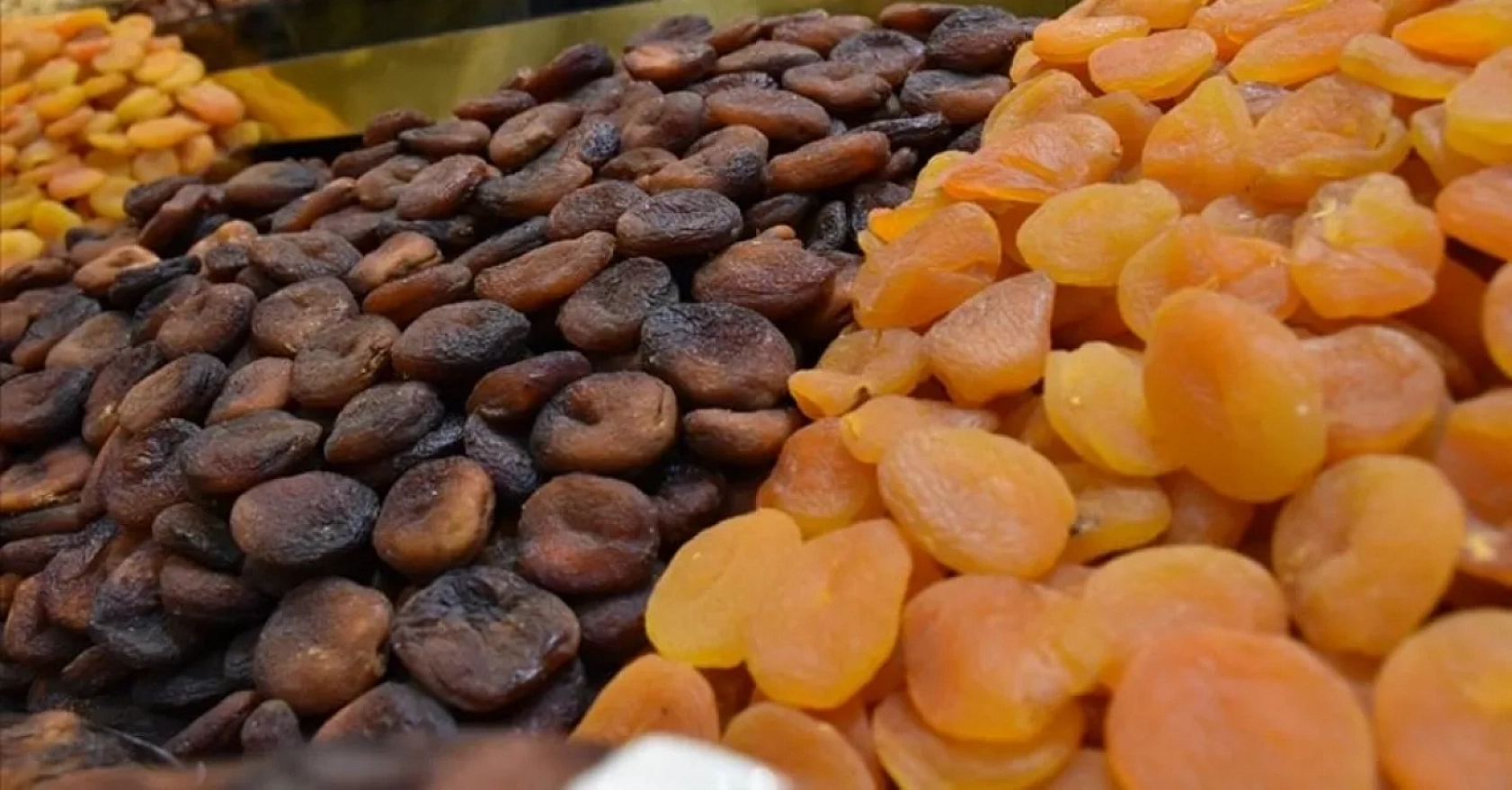 Malatya Kayısısı Çığlık Atmaya Devam Ediyor: Kayısı Üreticileri Ayakta!